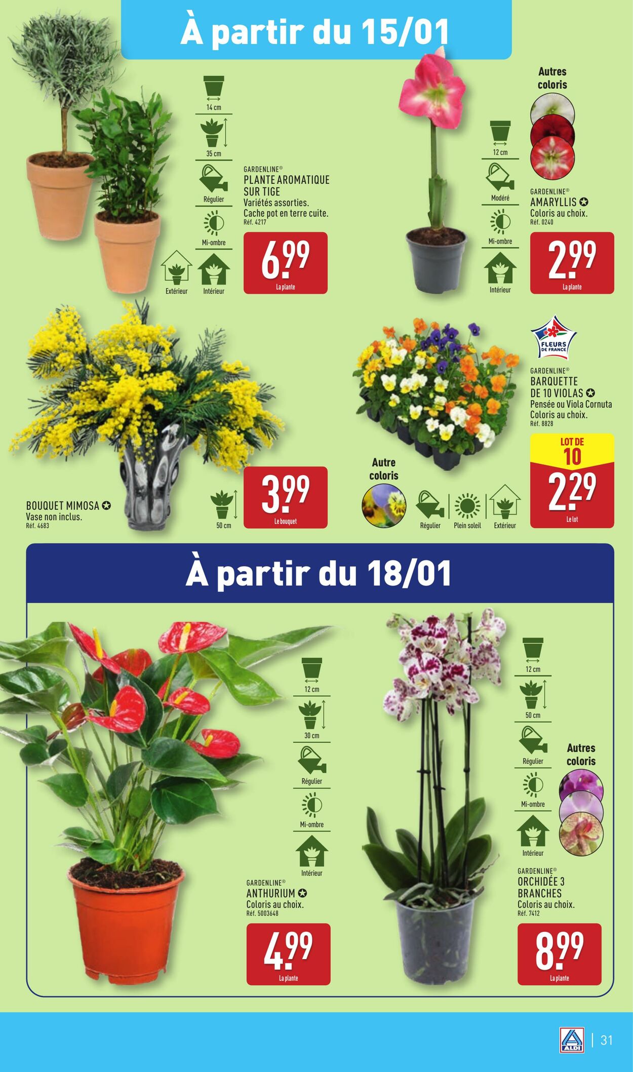 Catalogue Aldi 07.01.2025 - 13.01.2025