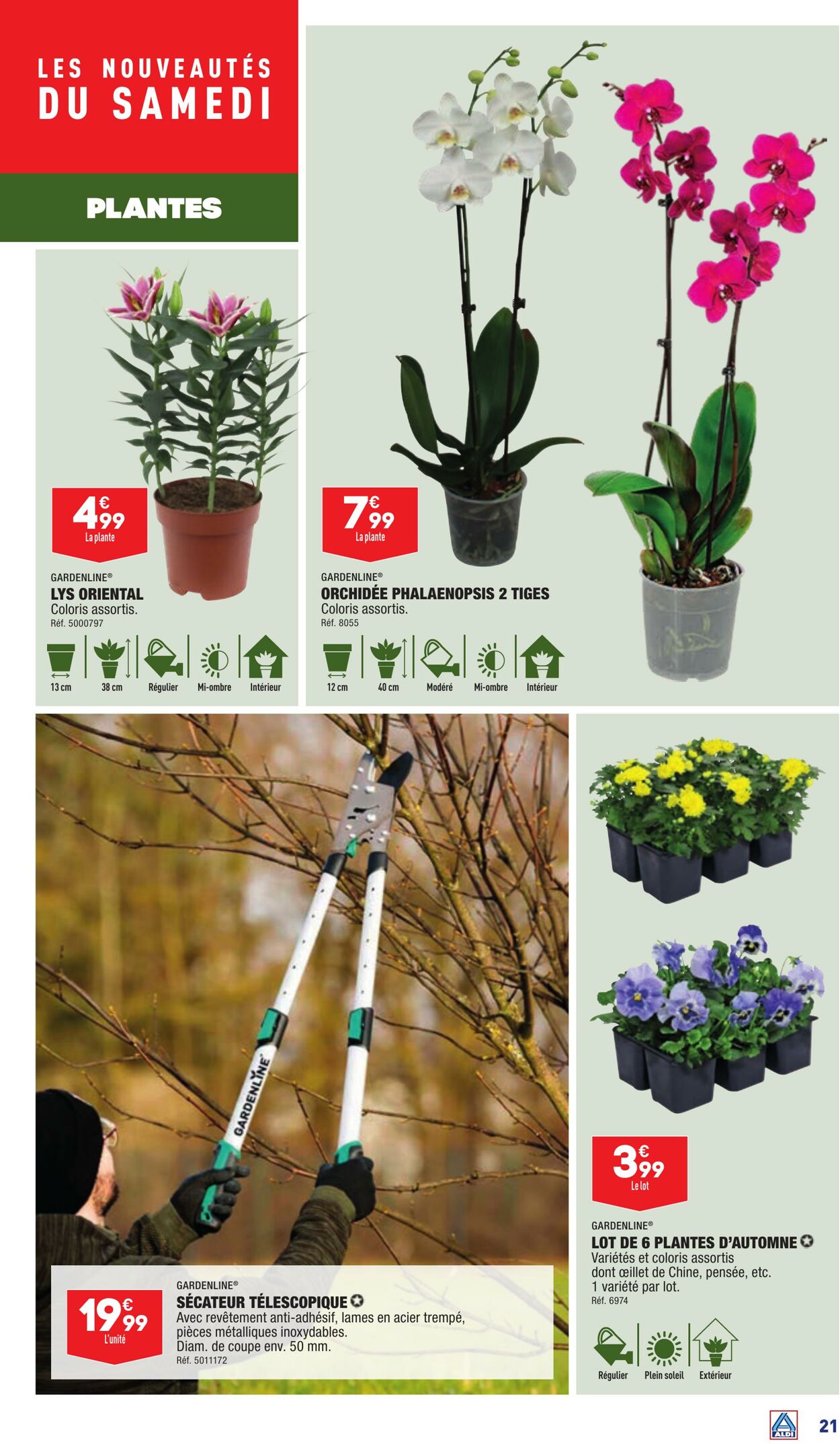 Catalogue Aldi 31.10.2023 - 06.11.2023