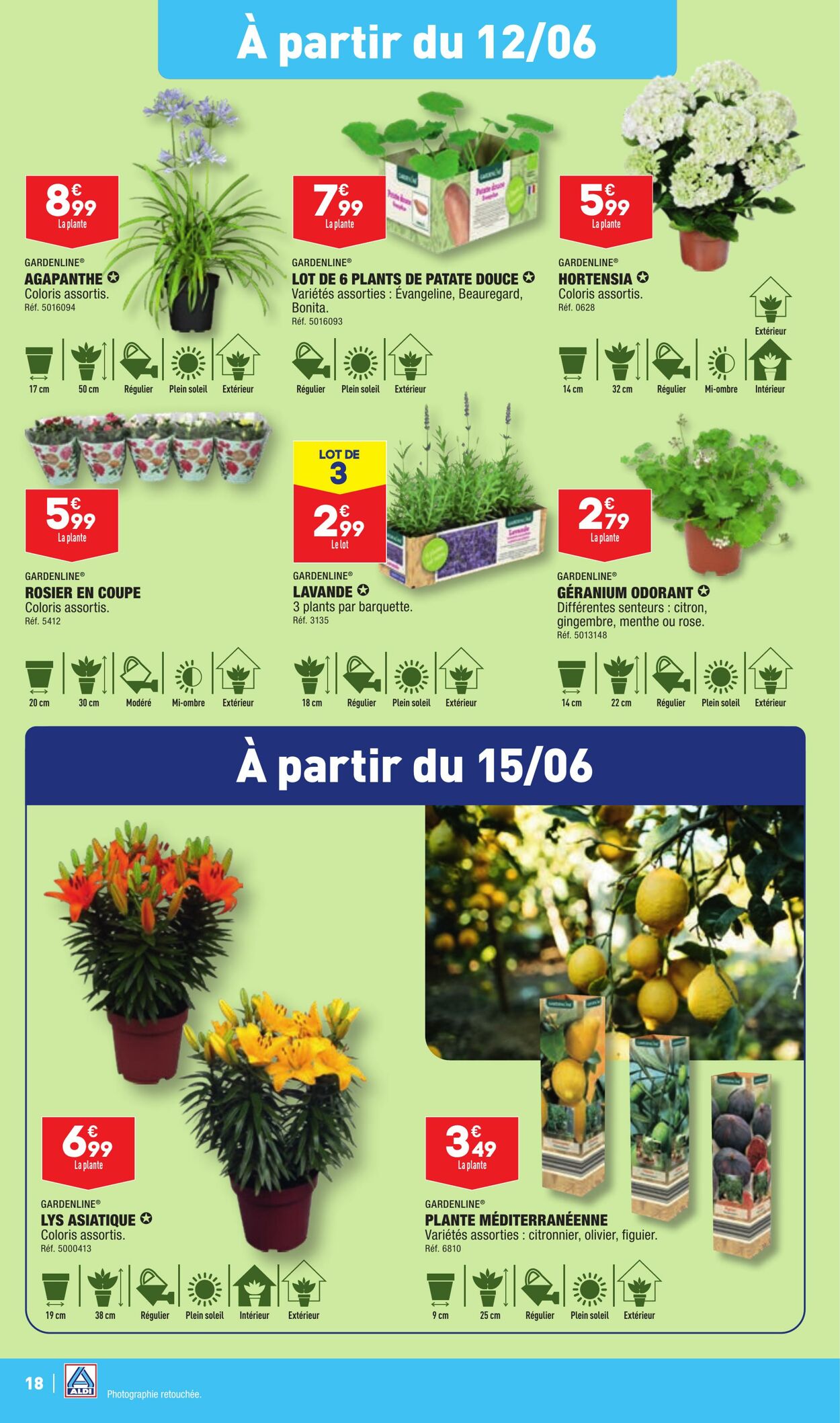 Catalogue Aldi 11.06.2024 - 17.06.2024