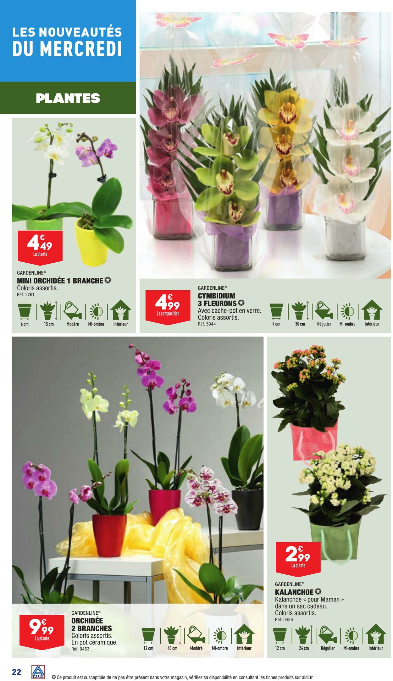 Catalogue Aldi 31.05.2023 - 05.06.2023