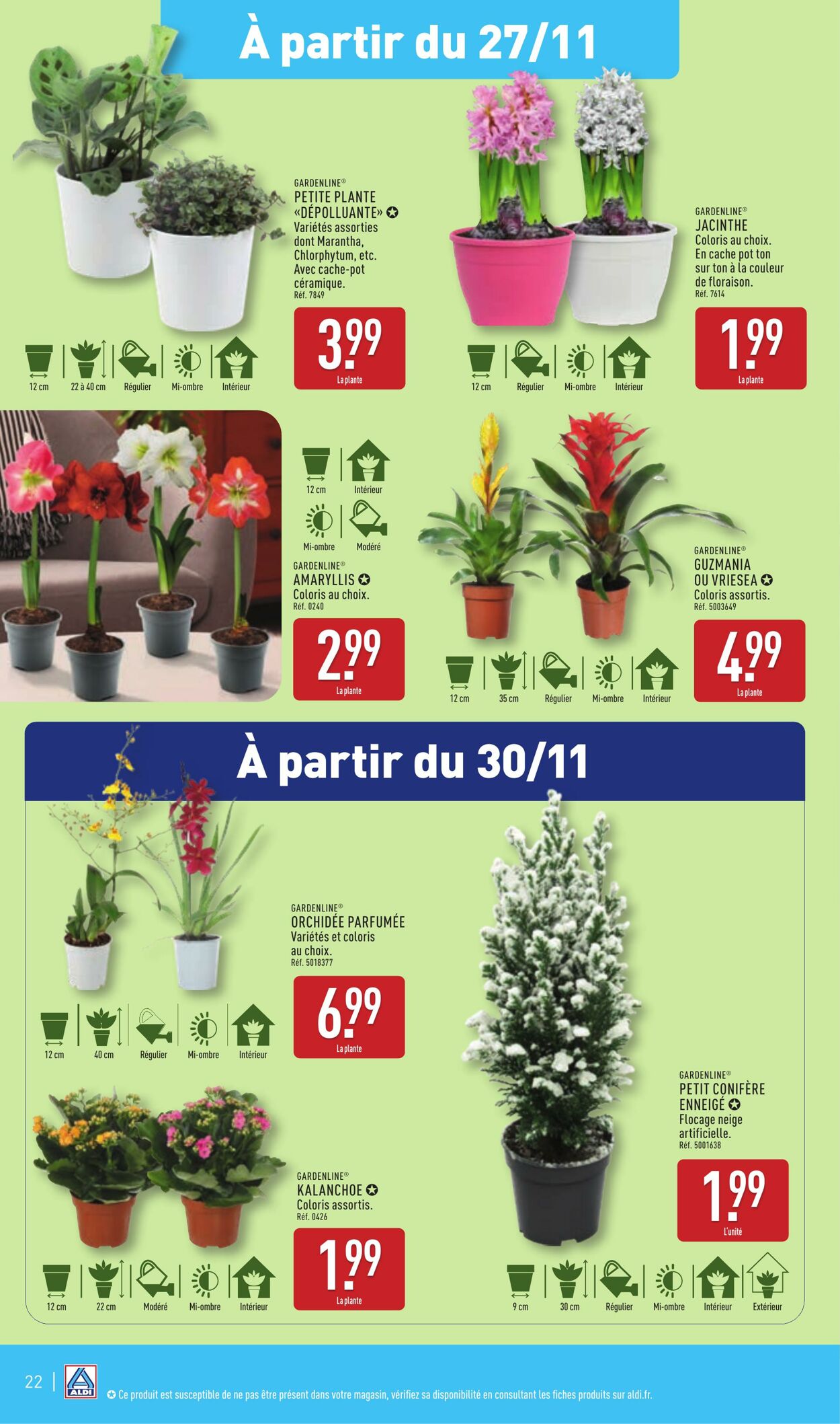 Catalogue Aldi 19.11.2024 - 25.11.2024