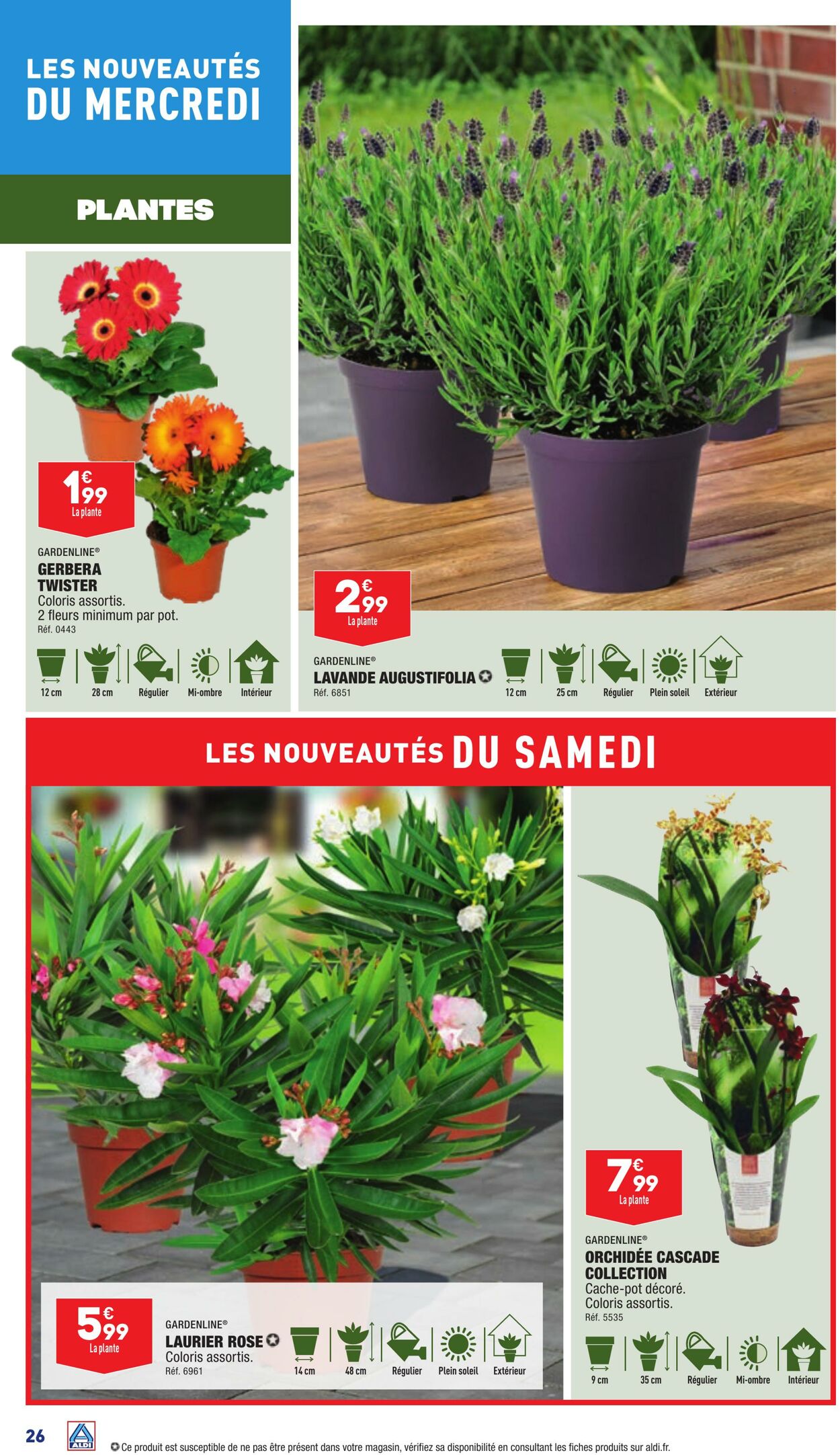 Catalogue Aldi 04.07.2023 - 10.07.2023