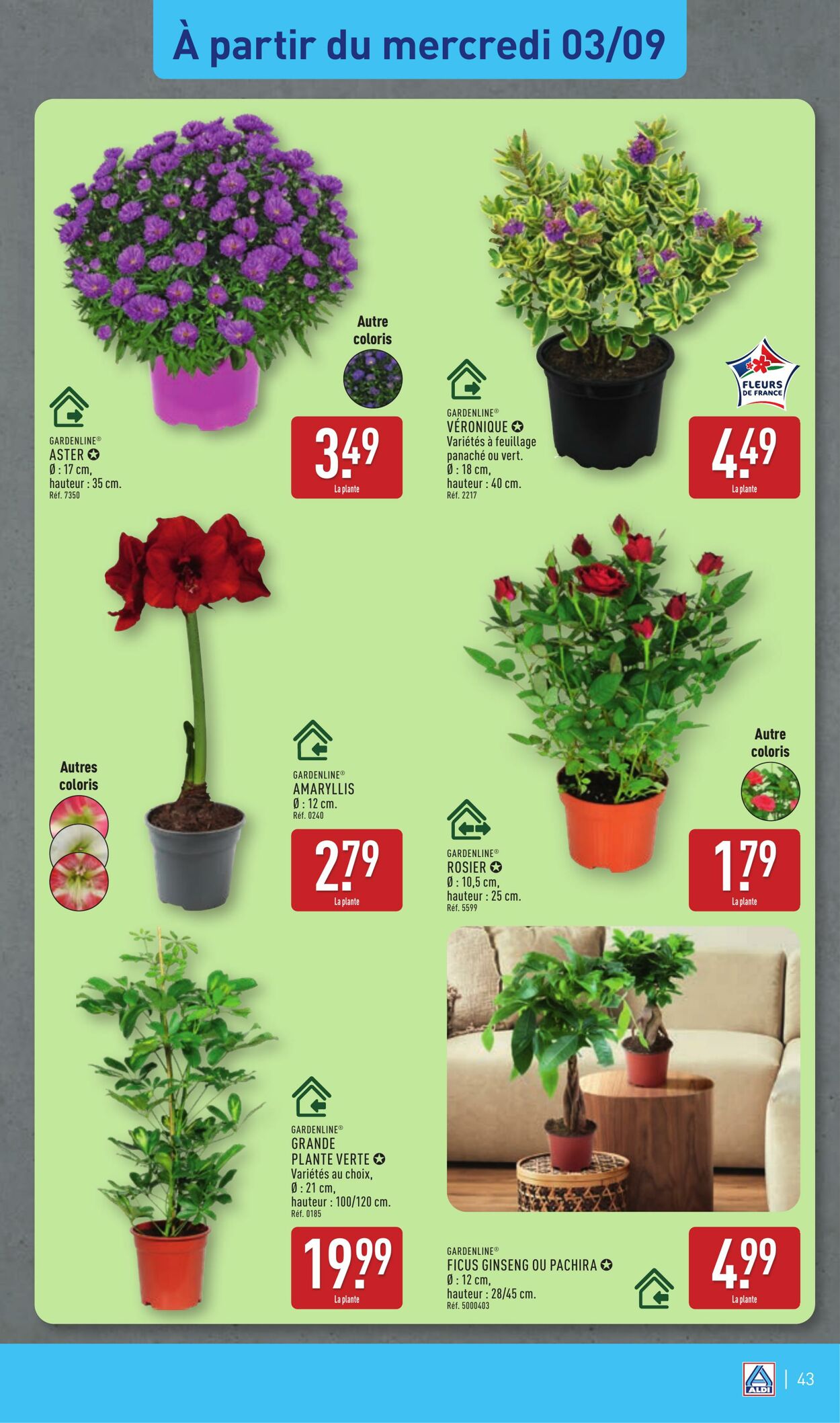 Catalogue Aldi 26.08.2025 - 01.09.2025