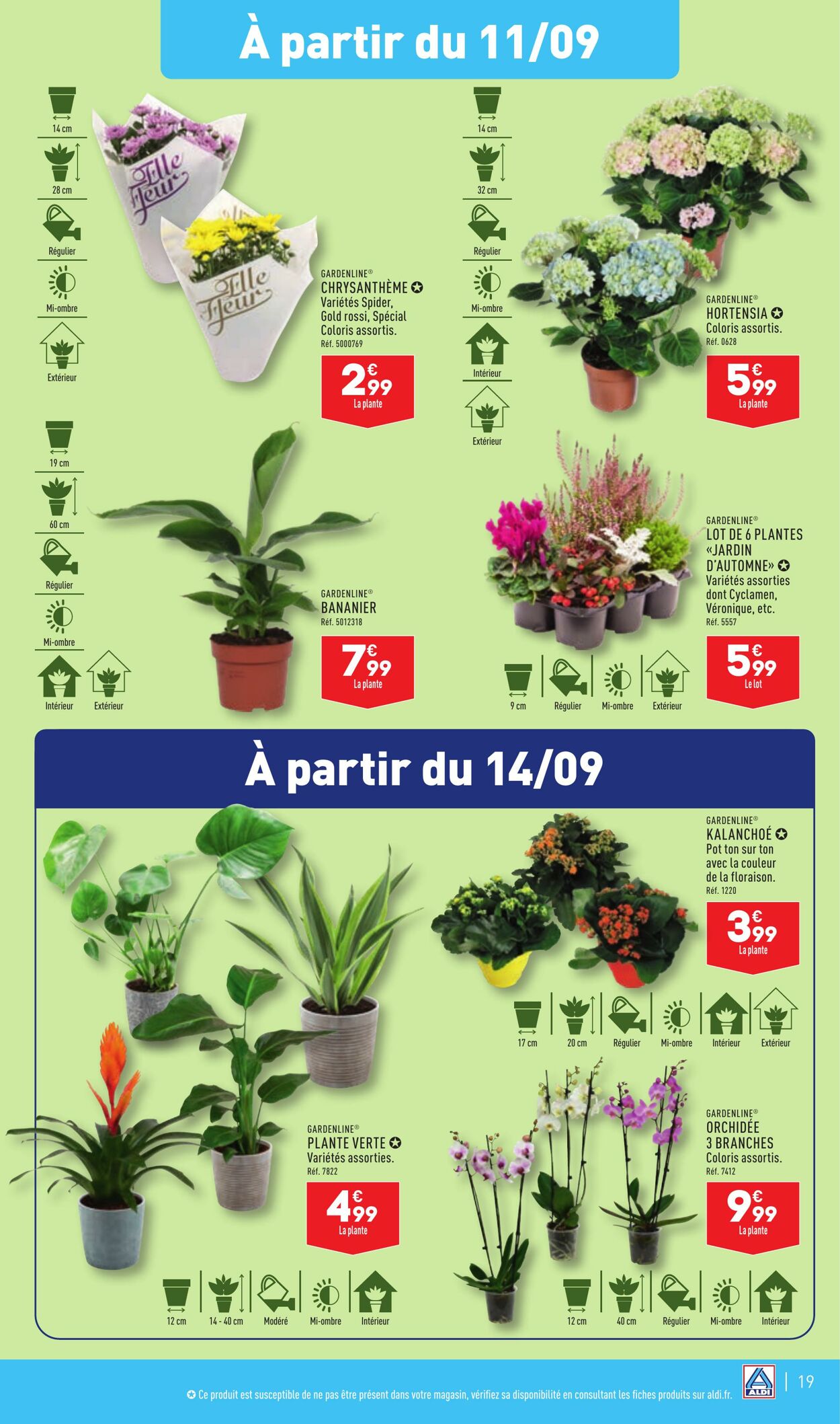 Catalogue Aldi 03.09.2024 - 09.09.2024