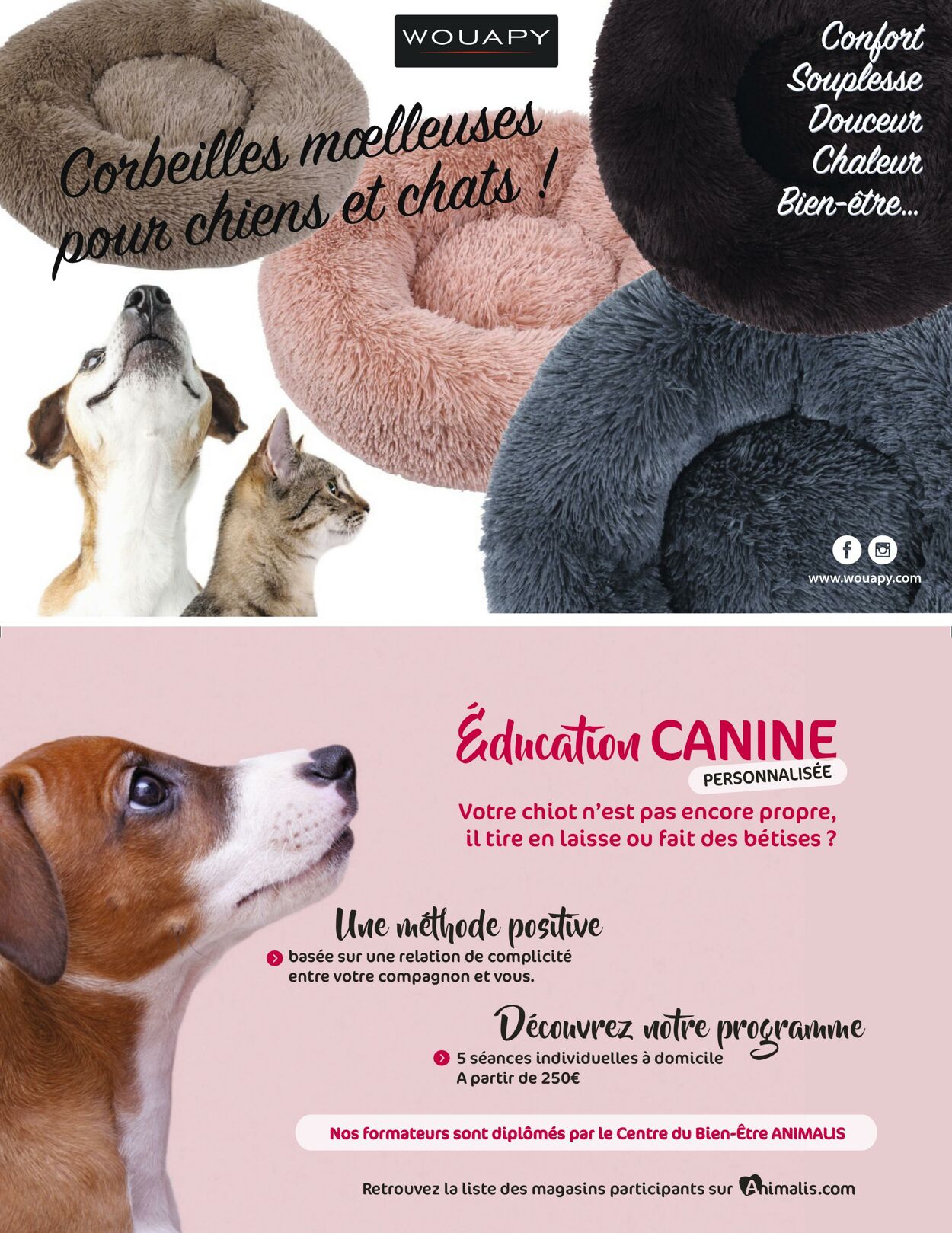 Catalogue Animalis 01.12.2022 - 28.02.2023