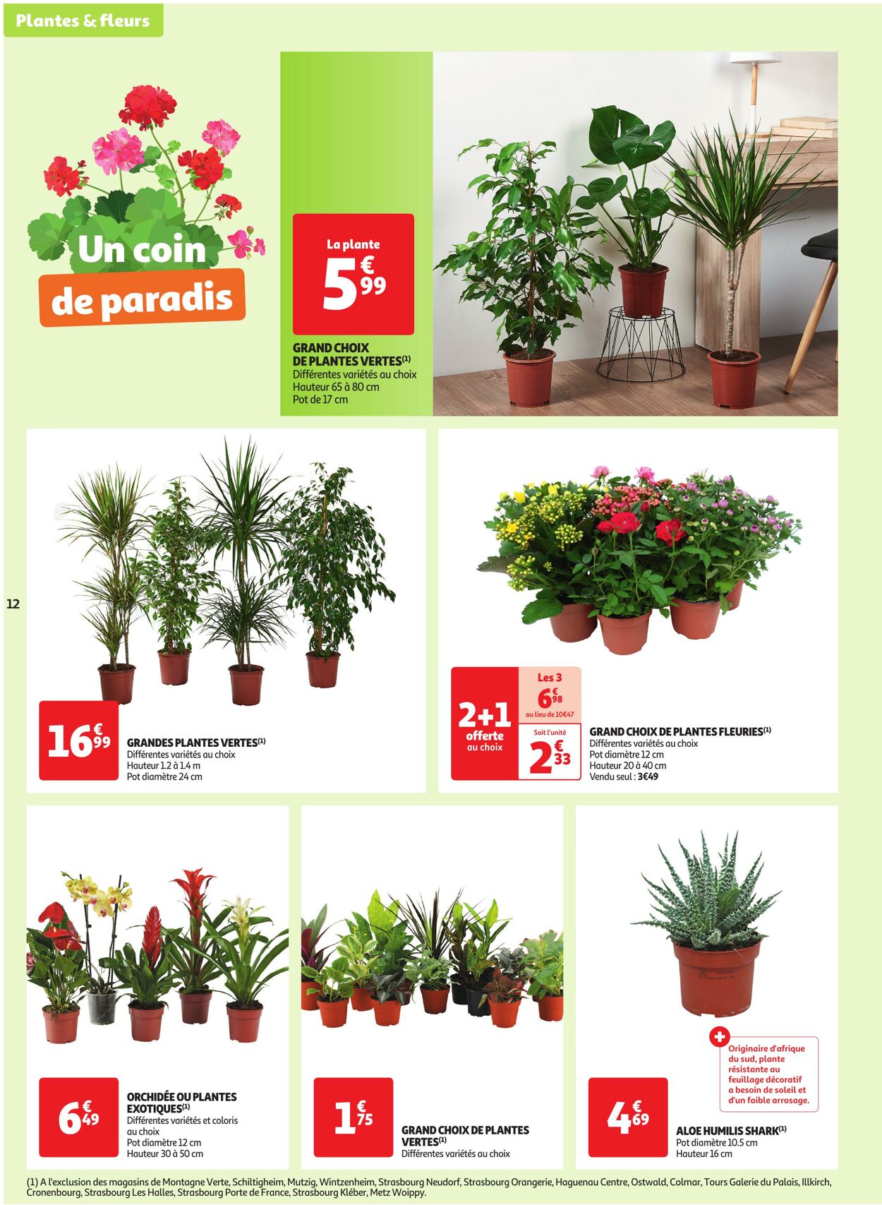 Catalogue Auchan 29.08.2023 - 03.09.2023