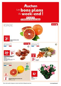 Catalogue Auchan 22.02.2024 - 25.02.2024