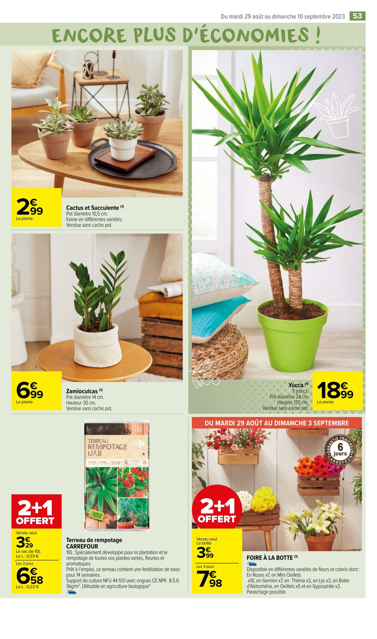 Catalogue Carrefour Market 29.08.2023 - 10.09.2023