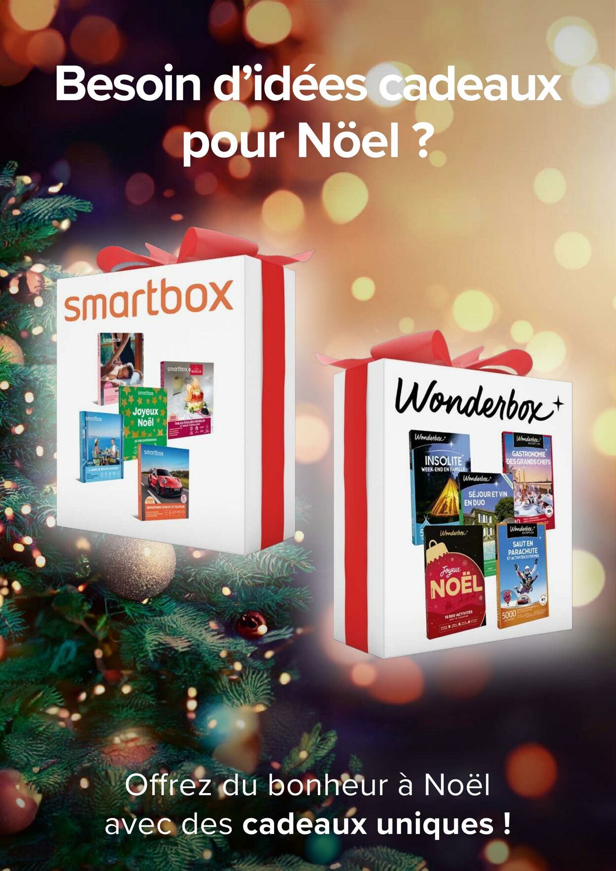 Catalogue Carrefour 29.11.2023 - 29.02.2024