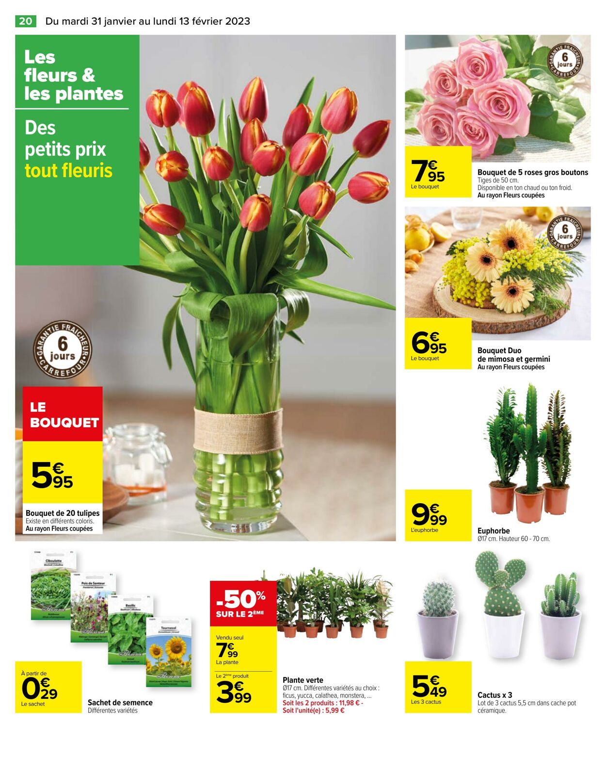 Catalogue Carrefour 31.01.2023 - 13.02.2023