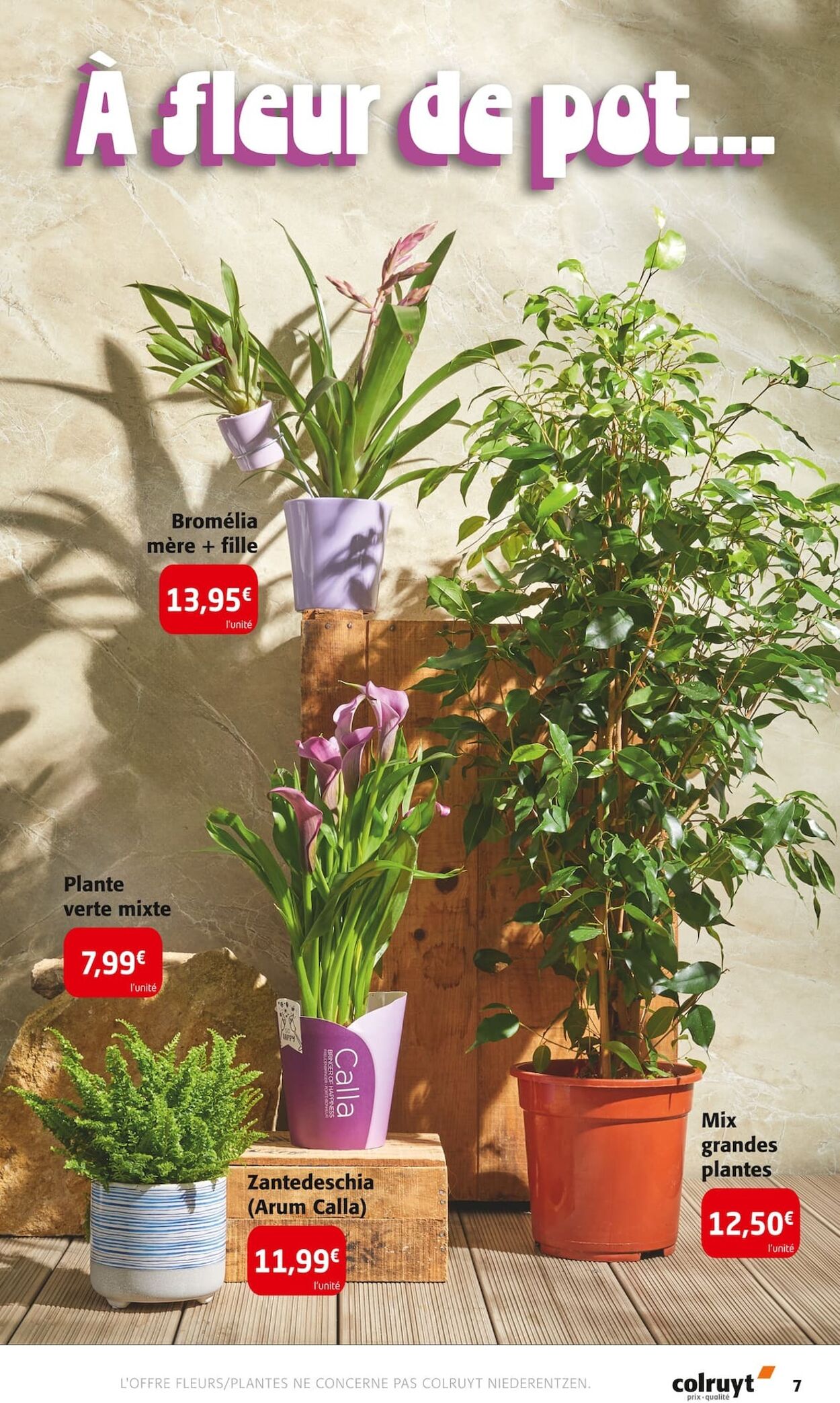 Catalogue Colruyt 19.08.2025 - 24.08.2025