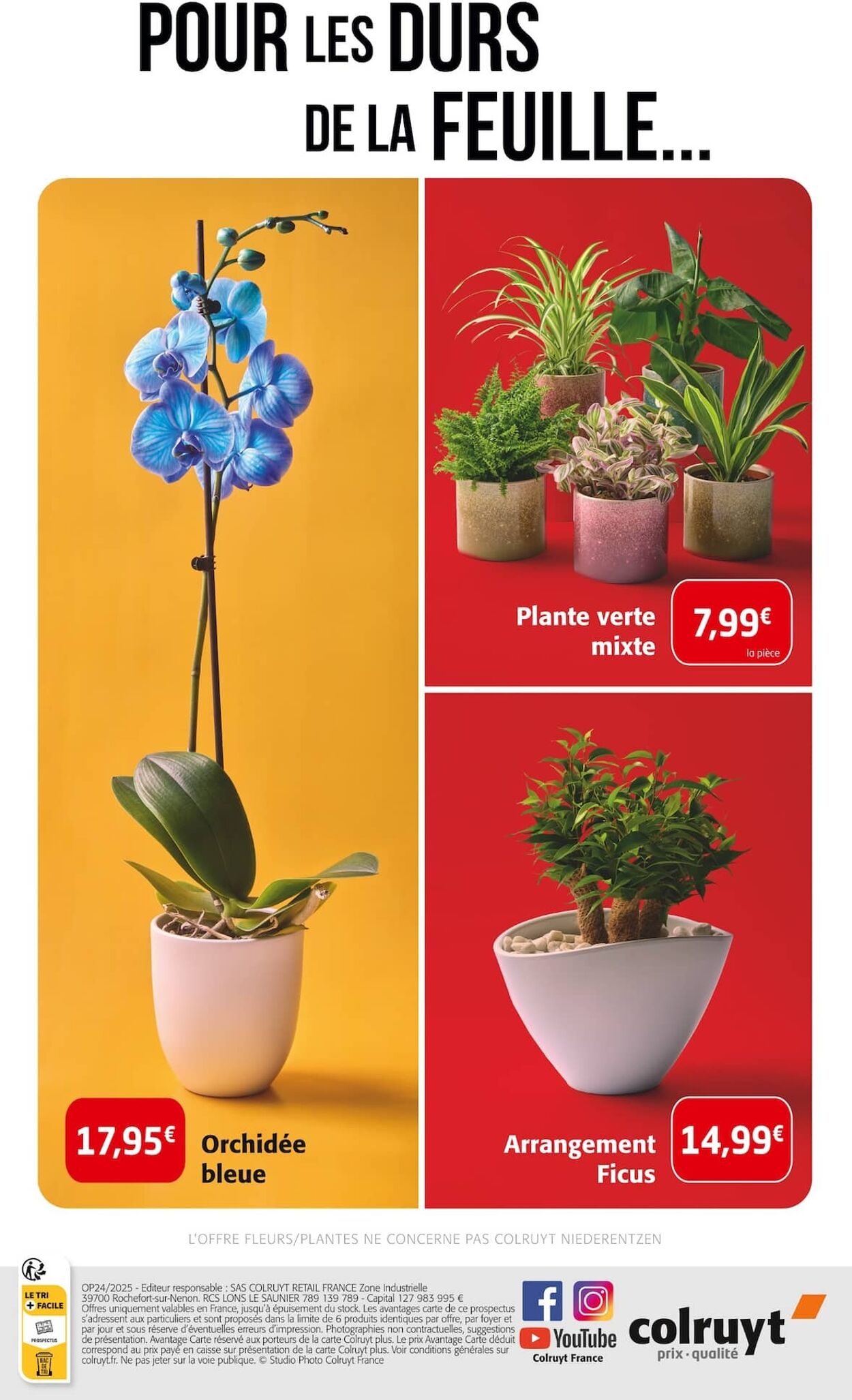 Catalogue Colruyt 10.06.2025 - 15.06.2025