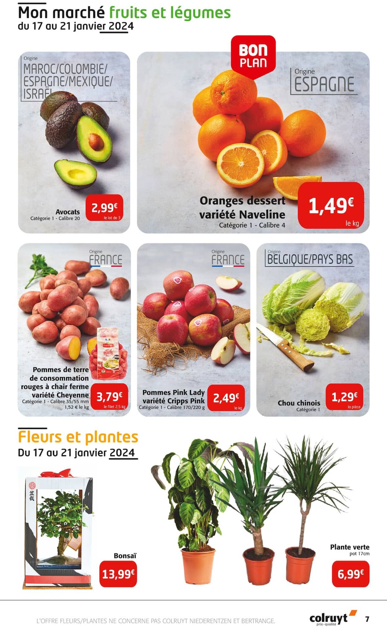 Catalogue Colruyt 17.01.2024 - 28.01.2024