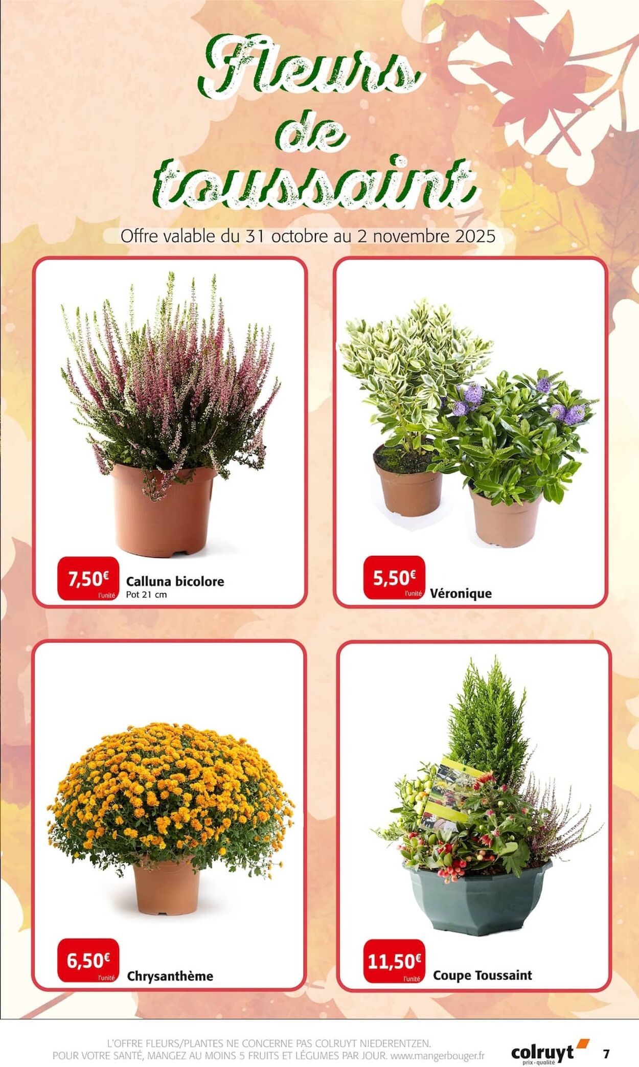 Catalogue Colruyt 28.10.2025 - 02.11.2025