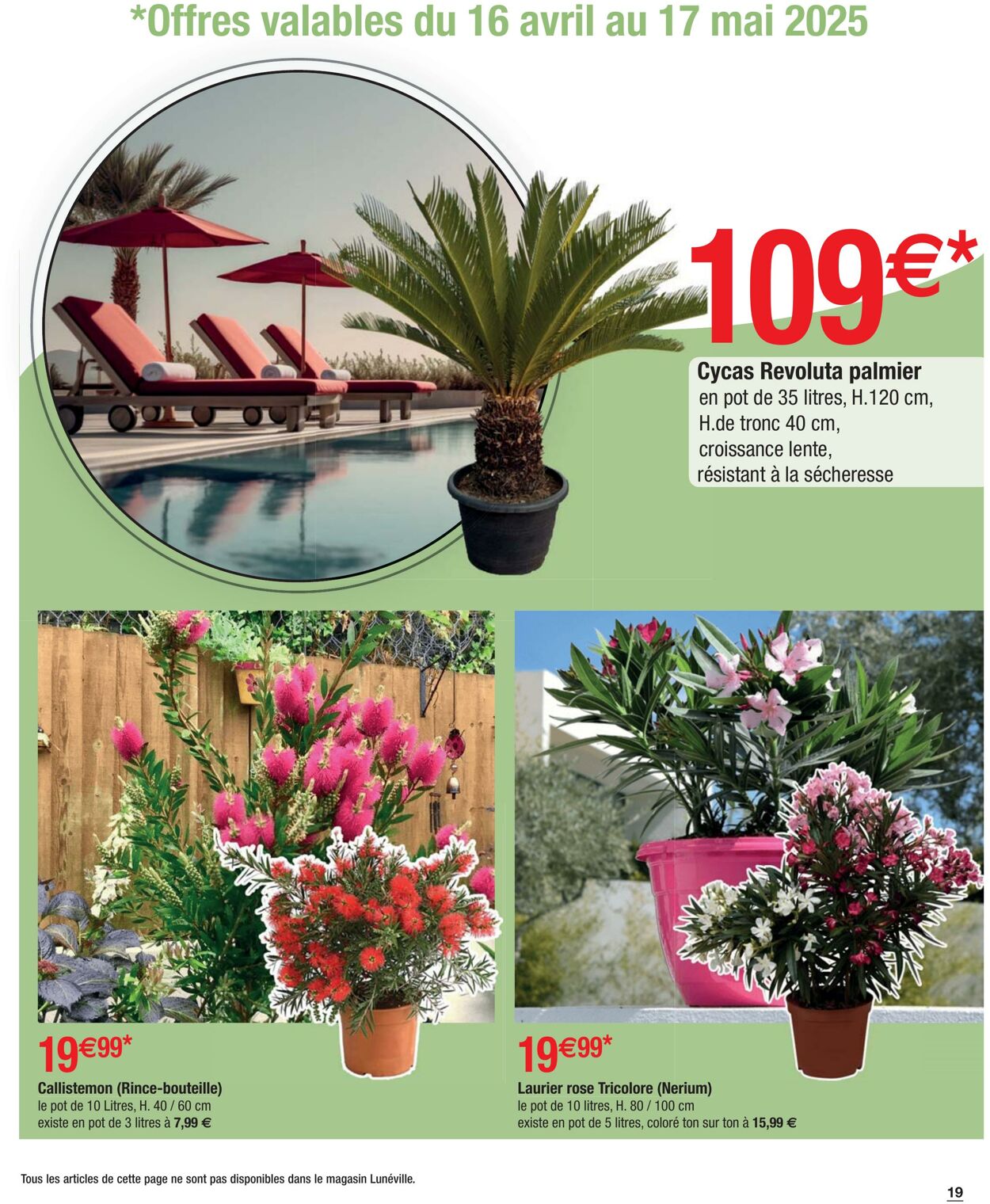 Catalogue Cora 08.04.2025 - 21.06.2025