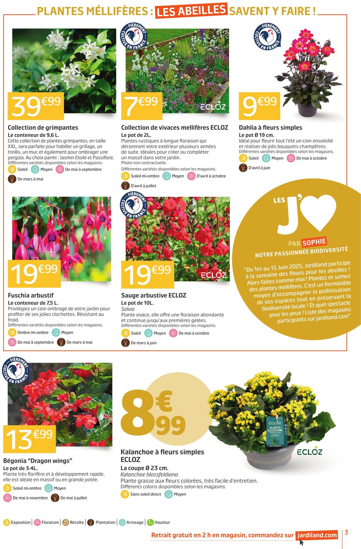 Catalogue Jardiland 26.05.2025 - 09.06.2025