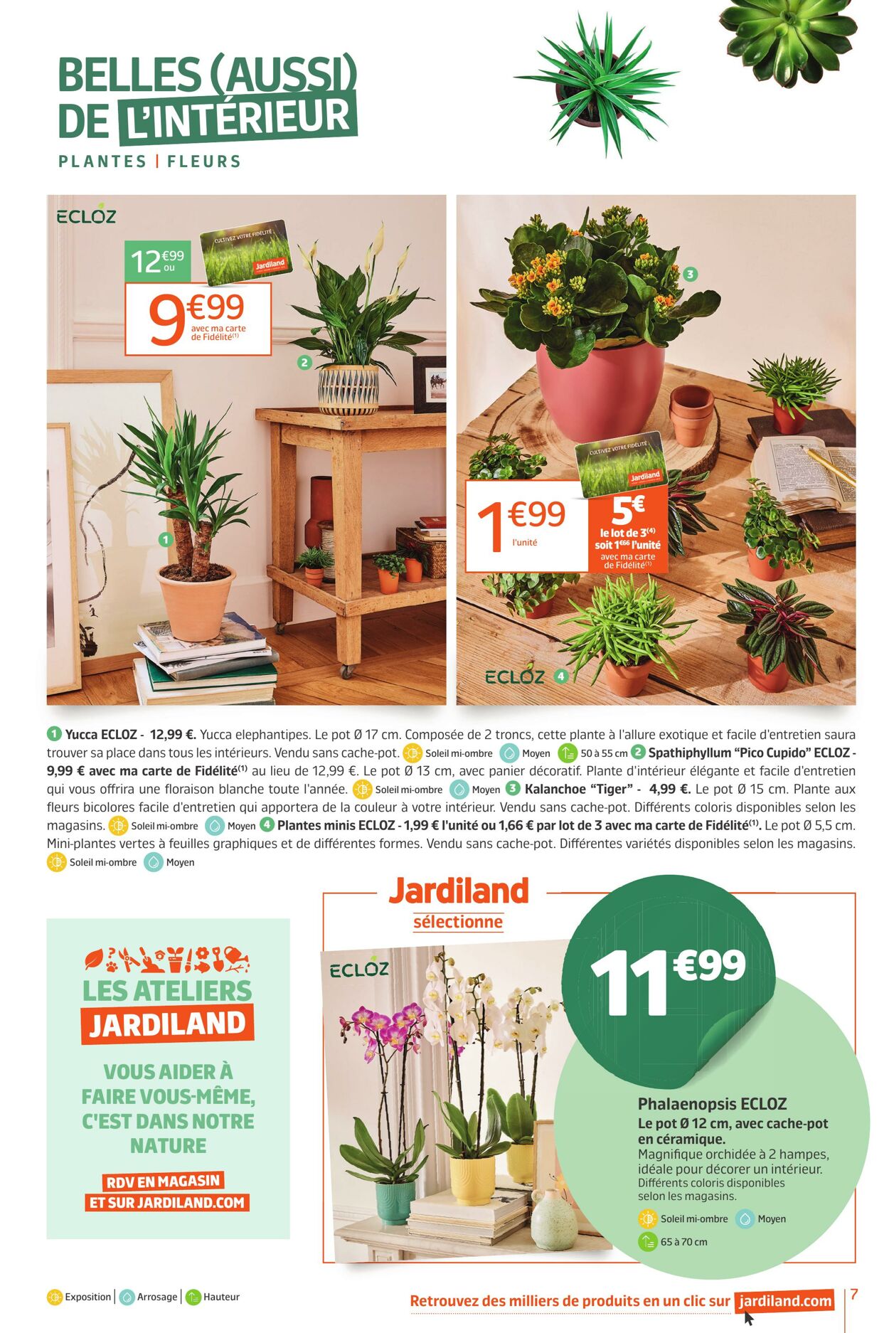 Catalogue Jardiland 03.09.2024 - 09.09.2024