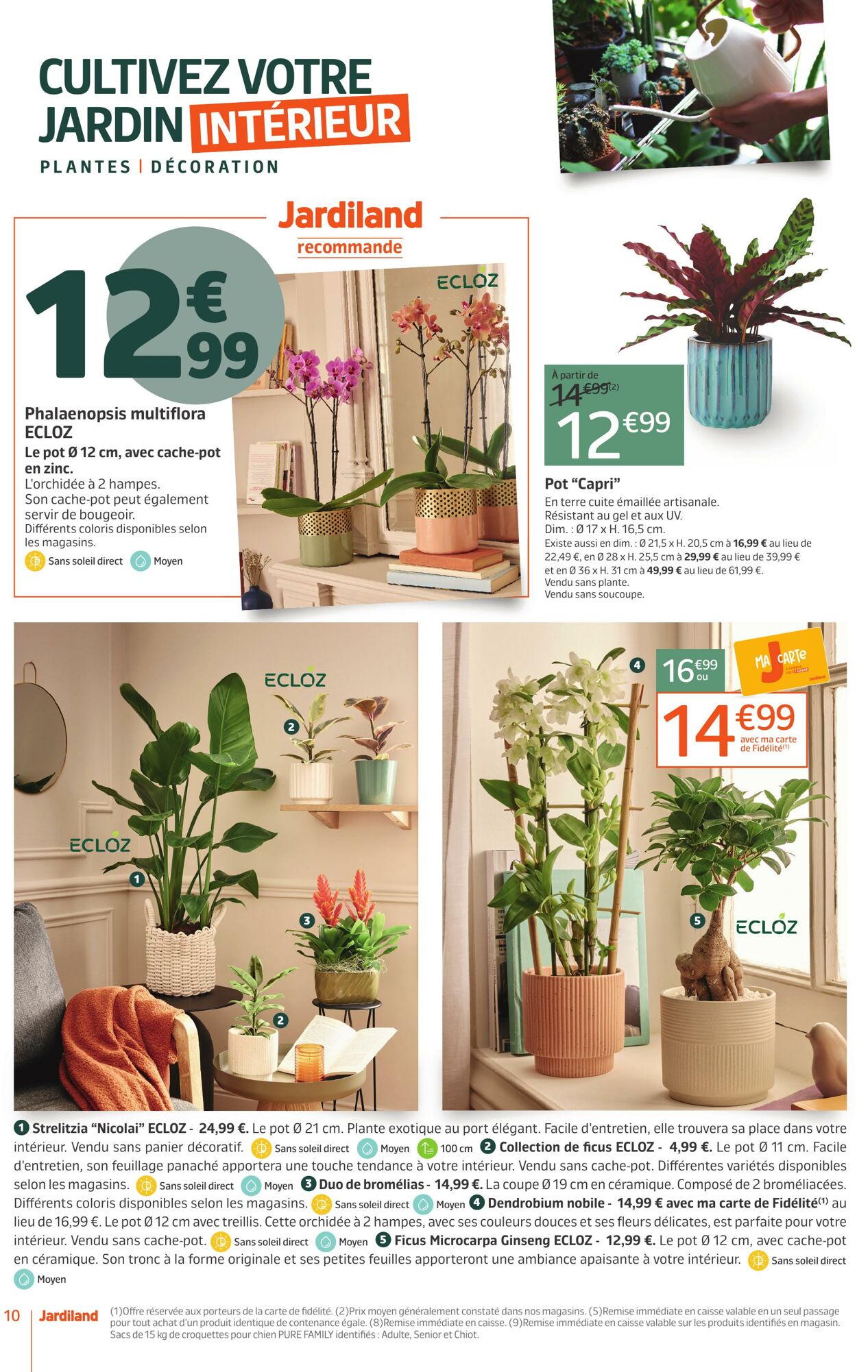 Catalogue Jardiland 21.10.2025 - 02.11.2025