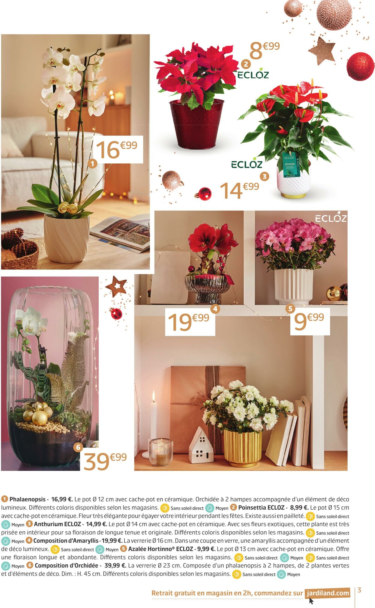 Catalogue Jardiland 03.12.2024 - 15.12.2024