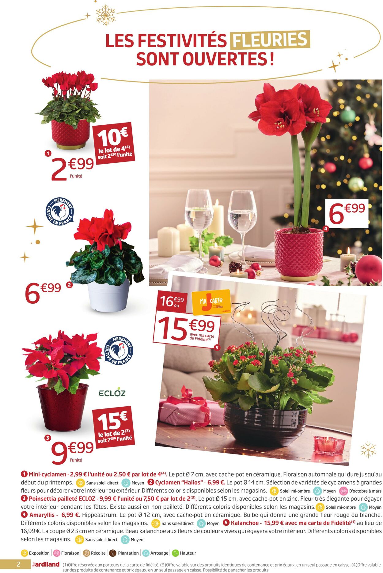 Catalogue Jardiland 11.12.2025 - 31.12.2025
