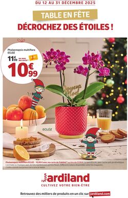 Catalogue Jardiland 11.12.2025 - 31.12.2025