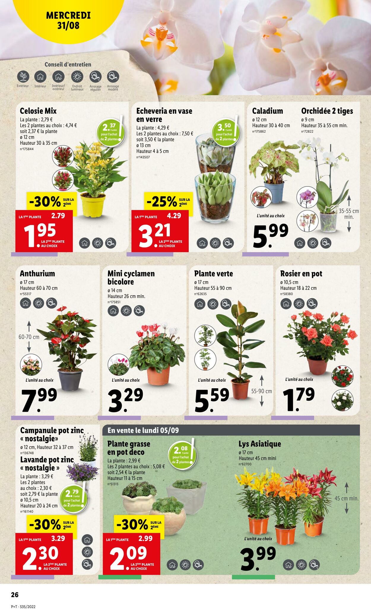 Catalogue Lidl 31.08.2022 - 06.09.2022