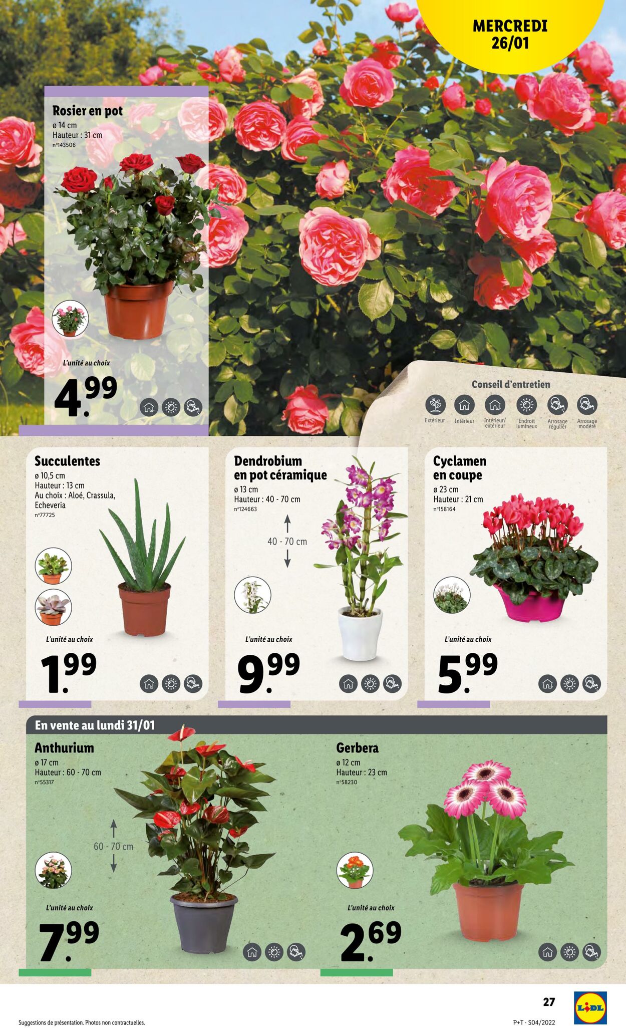 Catalogue Lidl 26.01.2022 - 01.02.2022