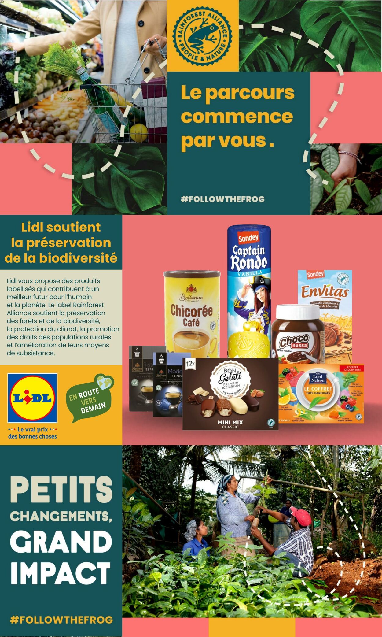 Catalogue Lidl 21.09.2022 - 27.09.2022