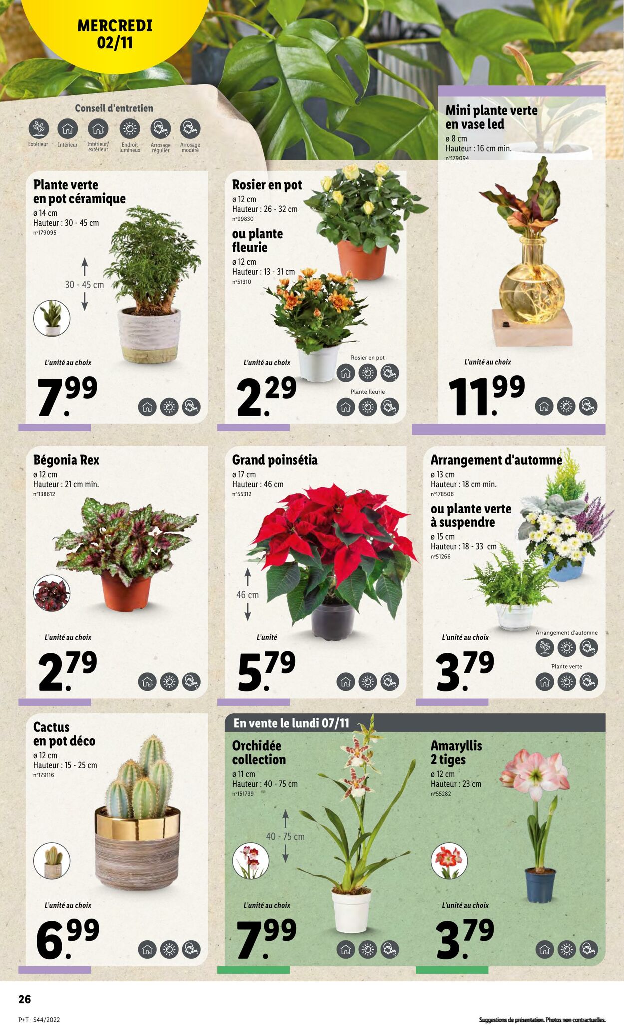 Catalogue Lidl 02.11.2022 - 08.11.2022