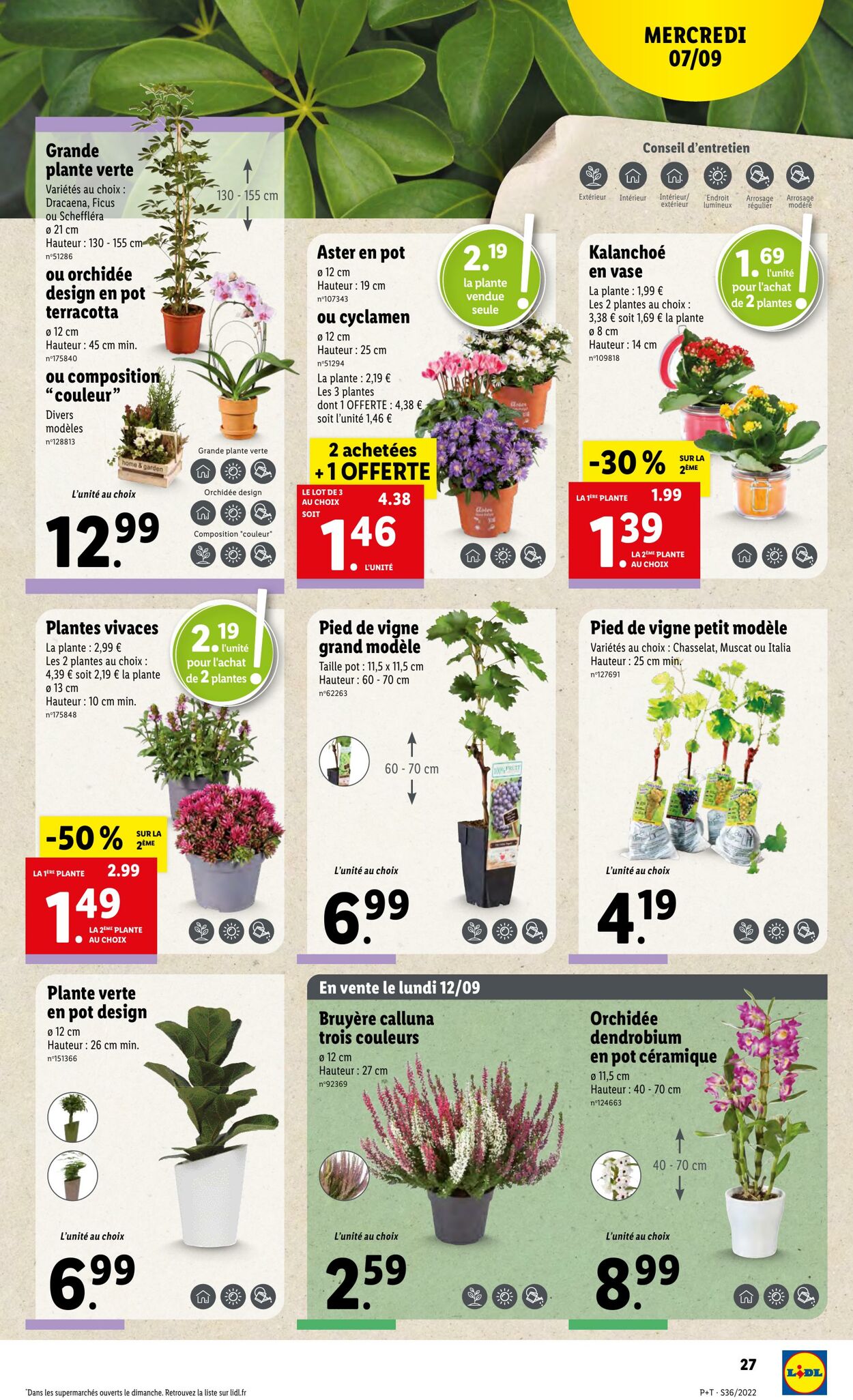 Catalogue Lidl 07.09.2022 - 13.09.2022