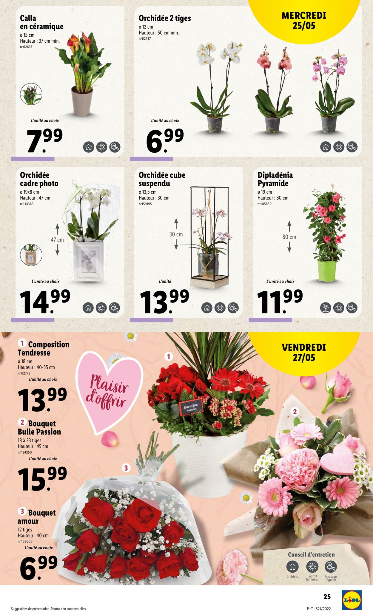 Catalogue Lidl 25.05.2022 - 31.05.2022