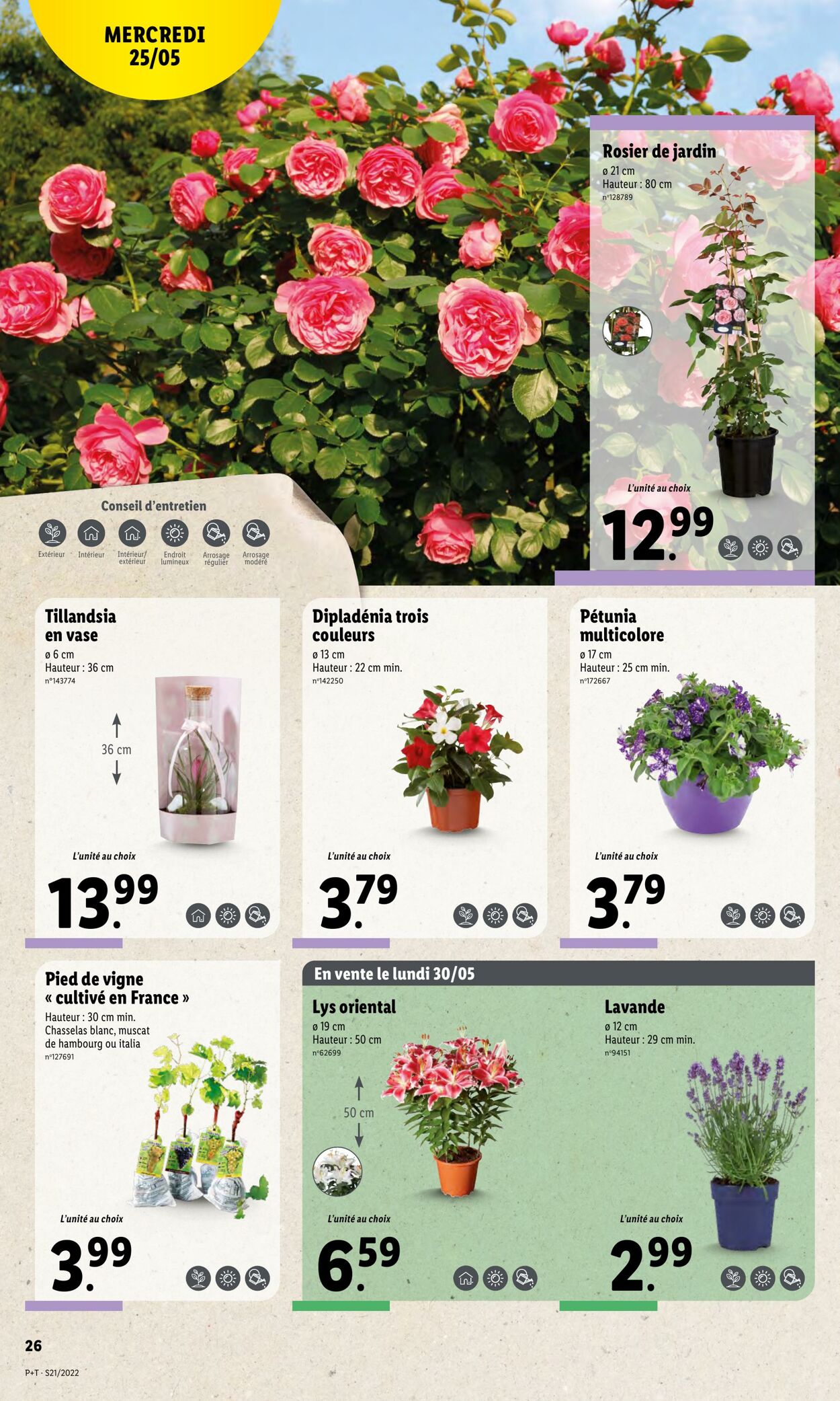 Catalogue Lidl 25.05.2022 - 31.05.2022