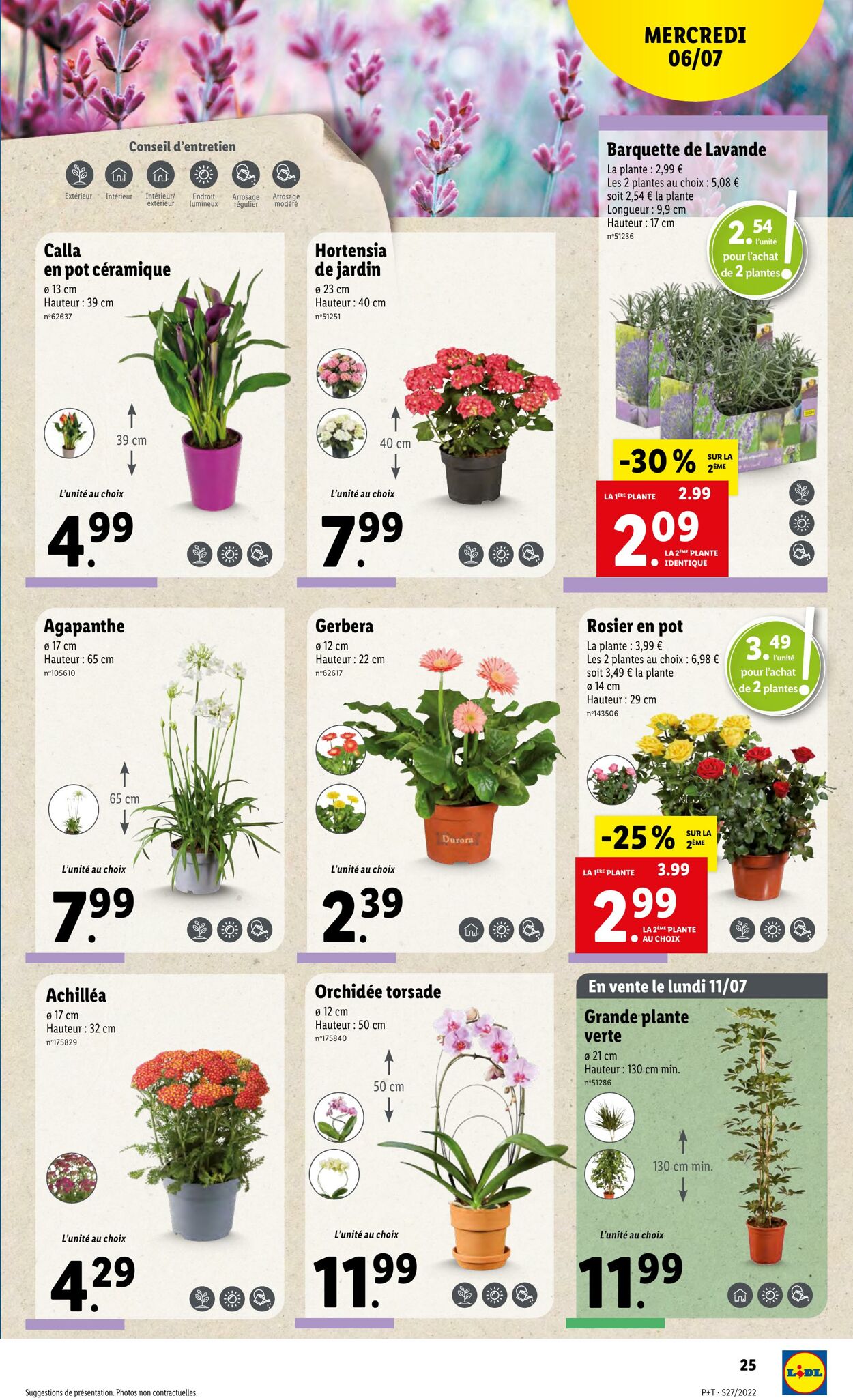 Catalogue Lidl 06.07.2022 - 12.07.2022