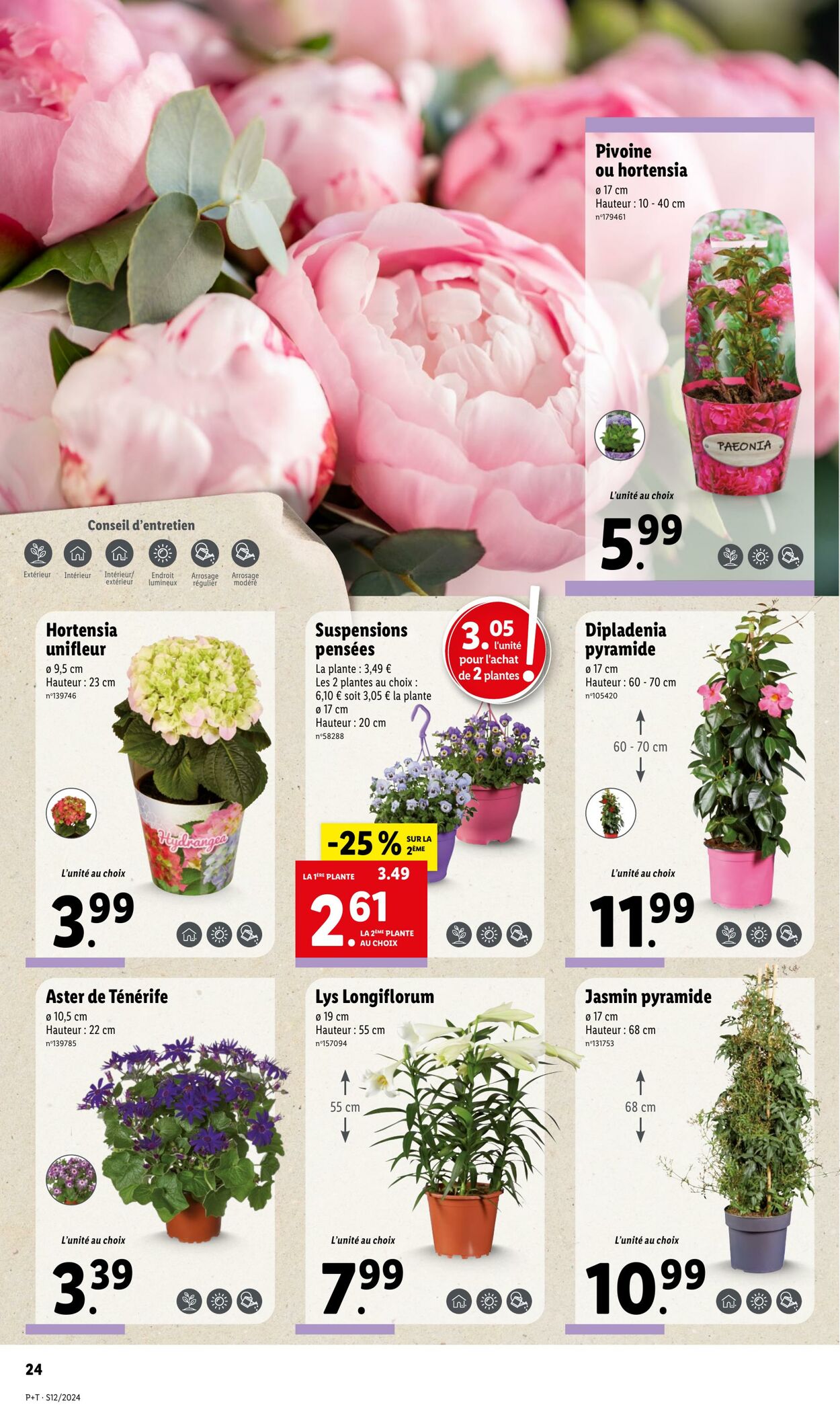 Catalogue Lidl 20.03.2024 - 26.03.2024