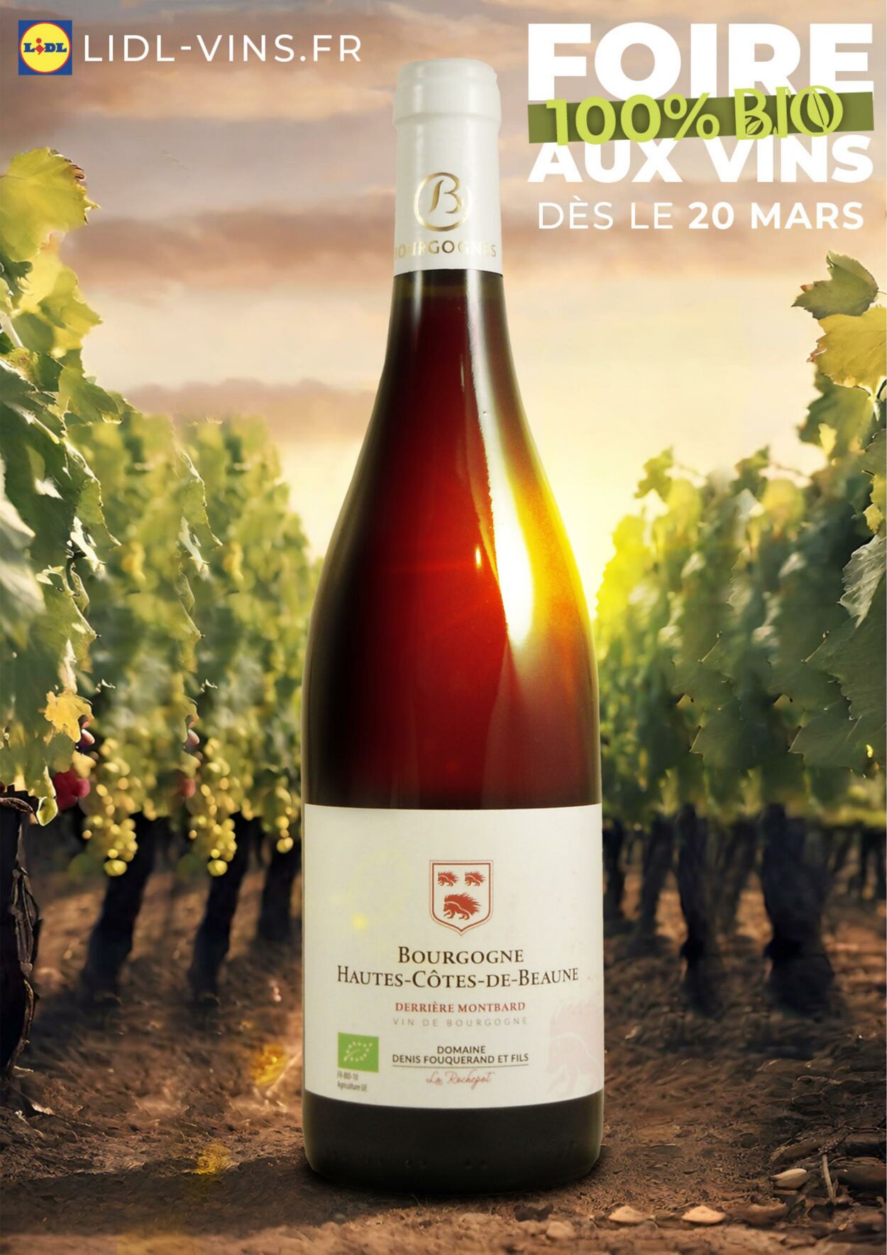 Catalogue Lidl - Foire aux vins 100% Bio 20 mars 2024 - 2 avr. 2024