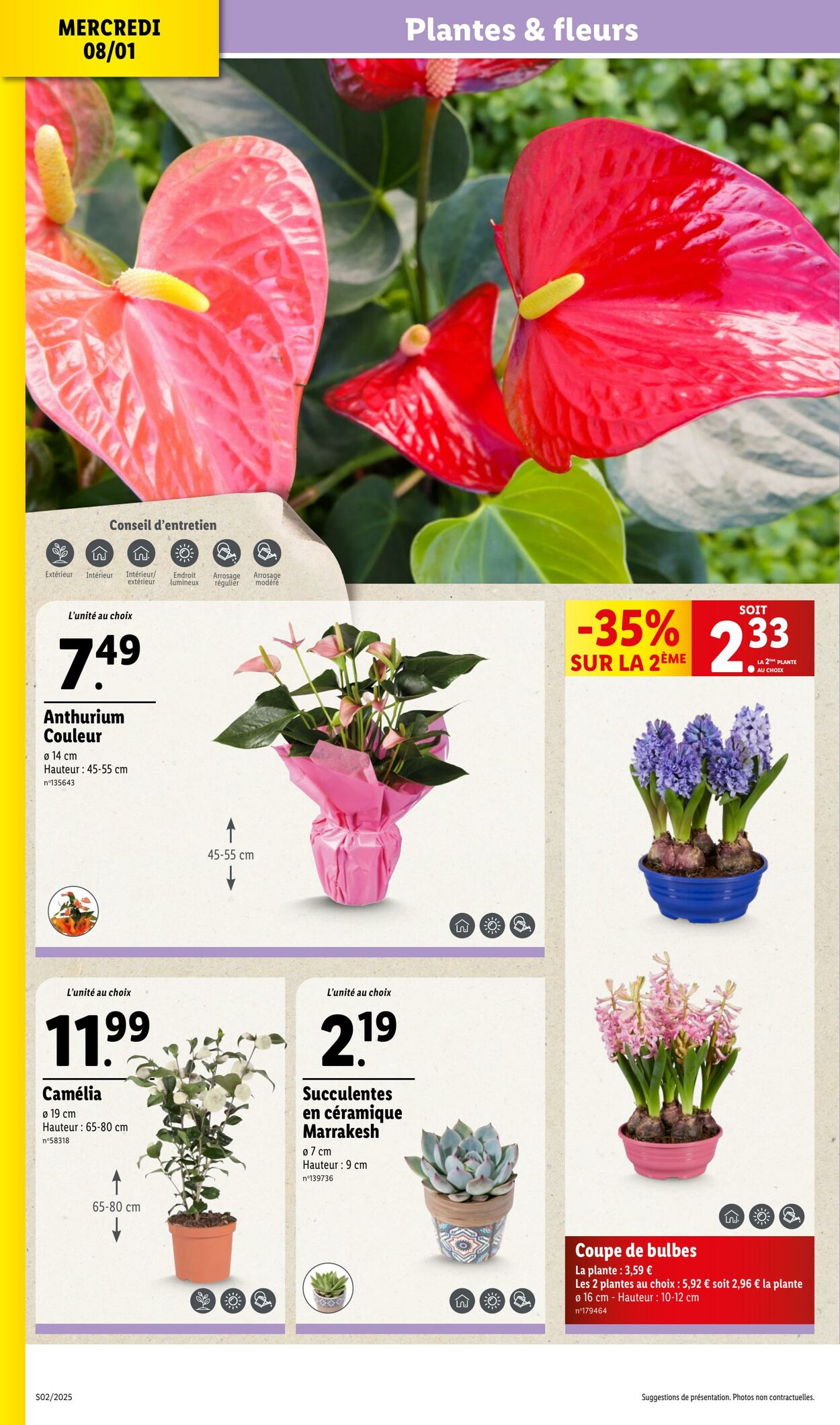 Catalogue Lidl 02.01.2025 - 19.01.2025