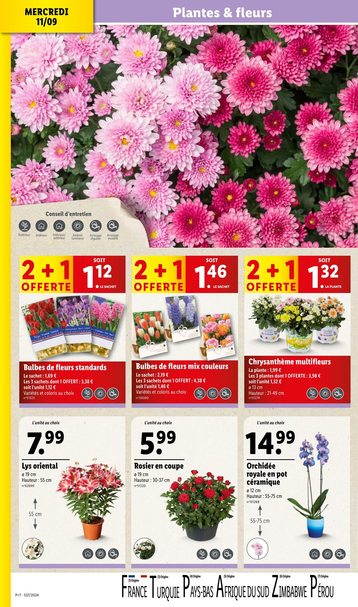 Catalogue Lidl 11.09.2024 - 18.09.2024