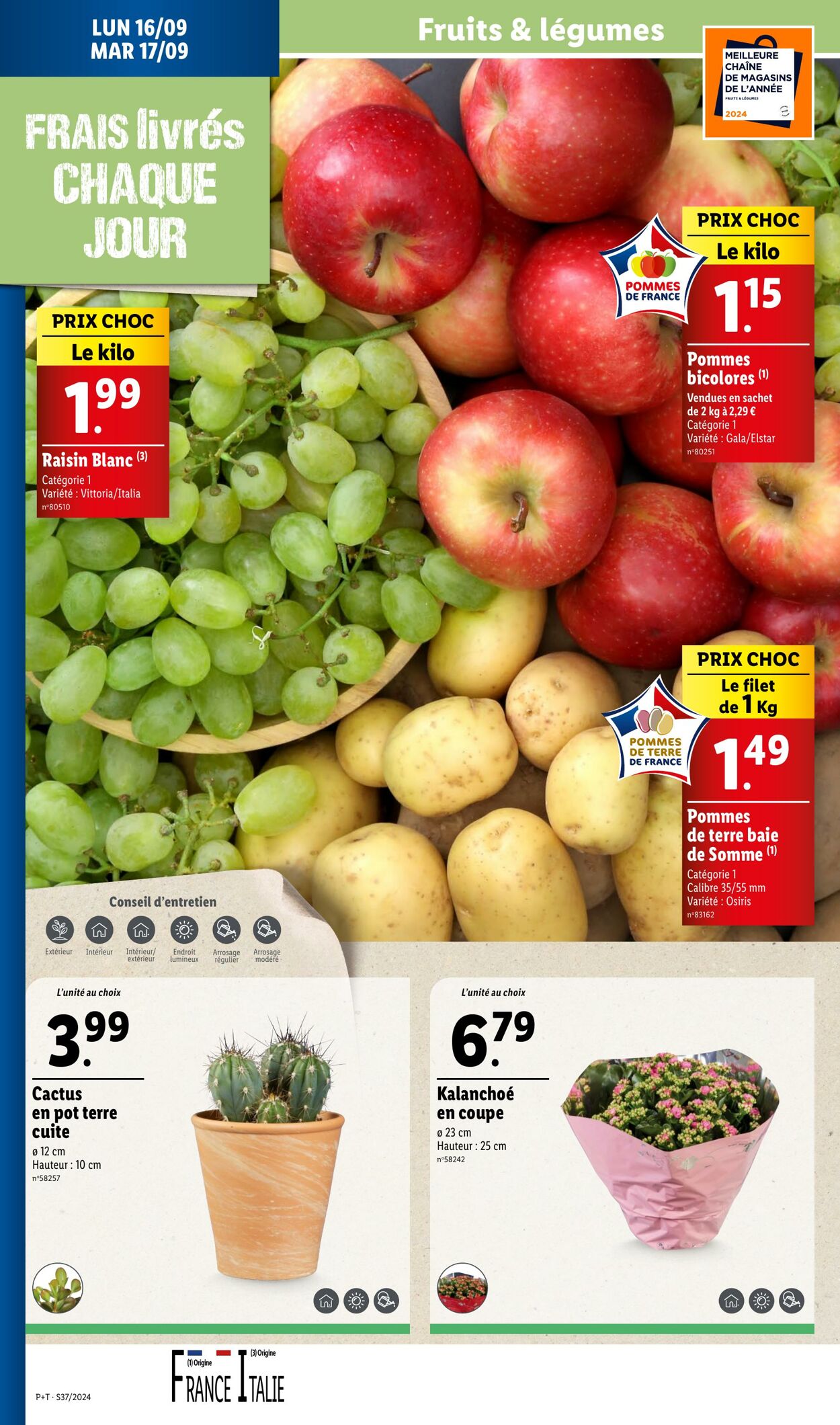 Catalogue Lidl 11.09.2024 - 18.09.2024