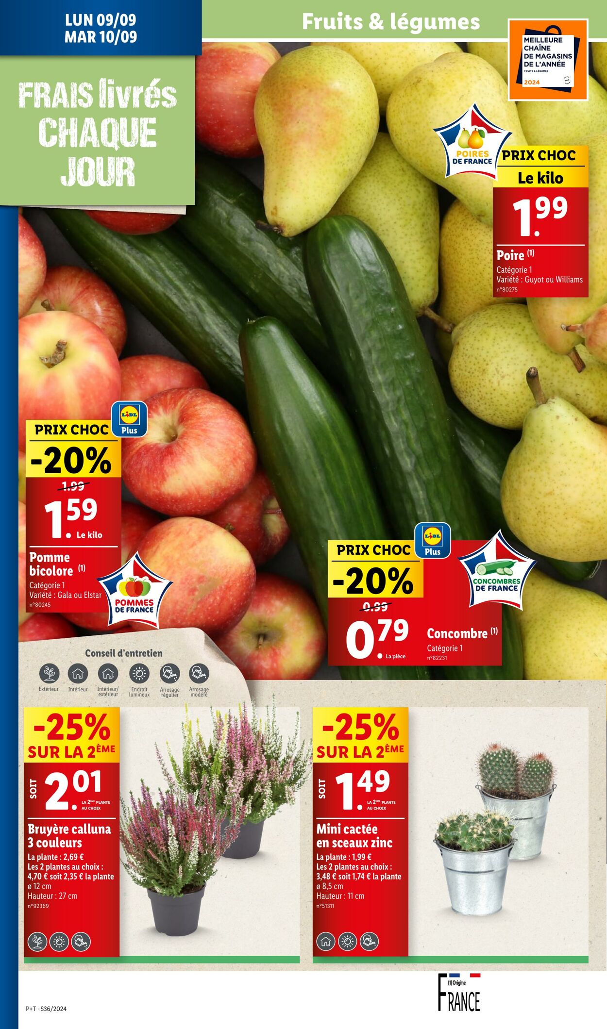 Catalogue Lidl 03.09.2024 - 11.09.2024