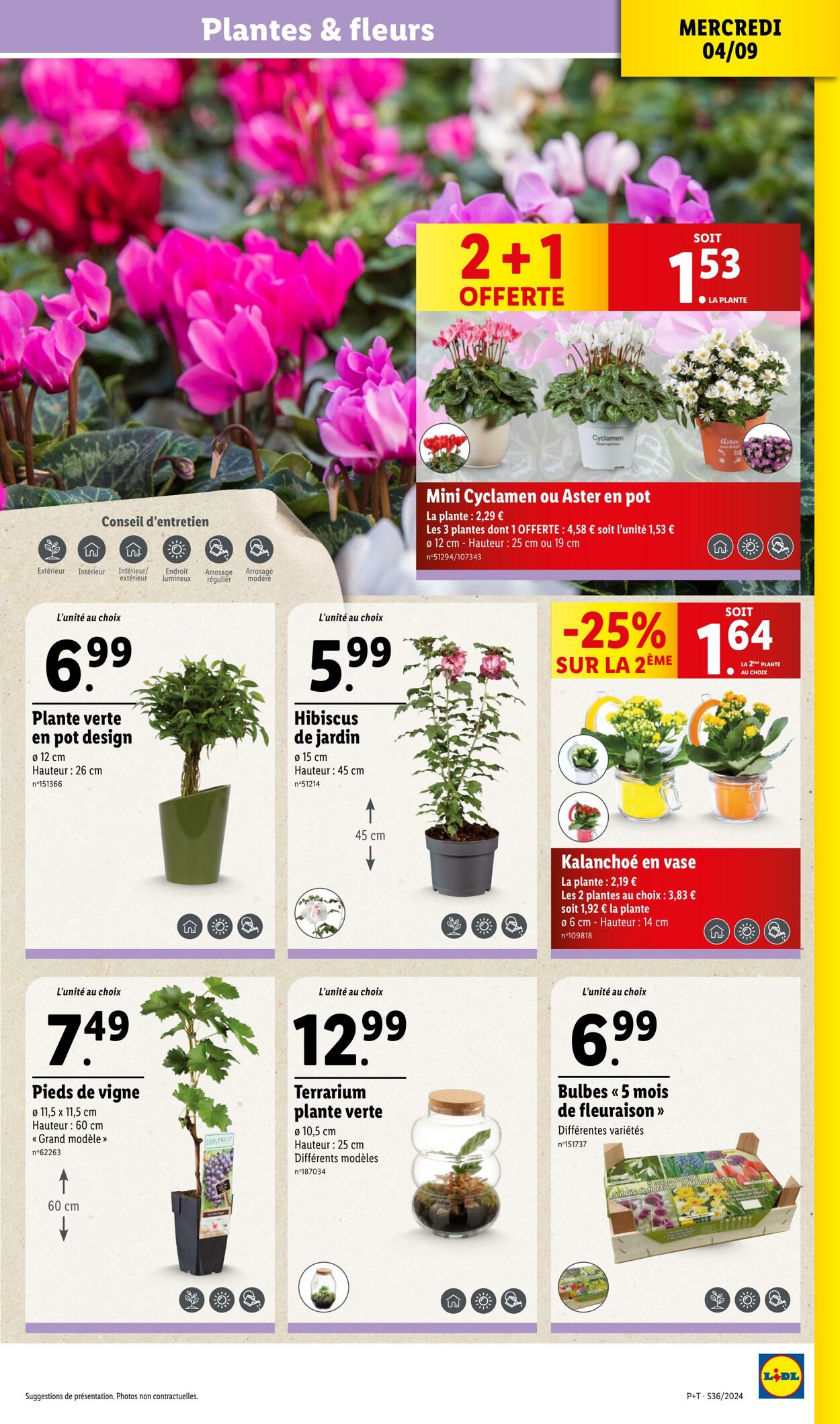 Catalogue Lidl 03.09.2024 - 11.09.2024