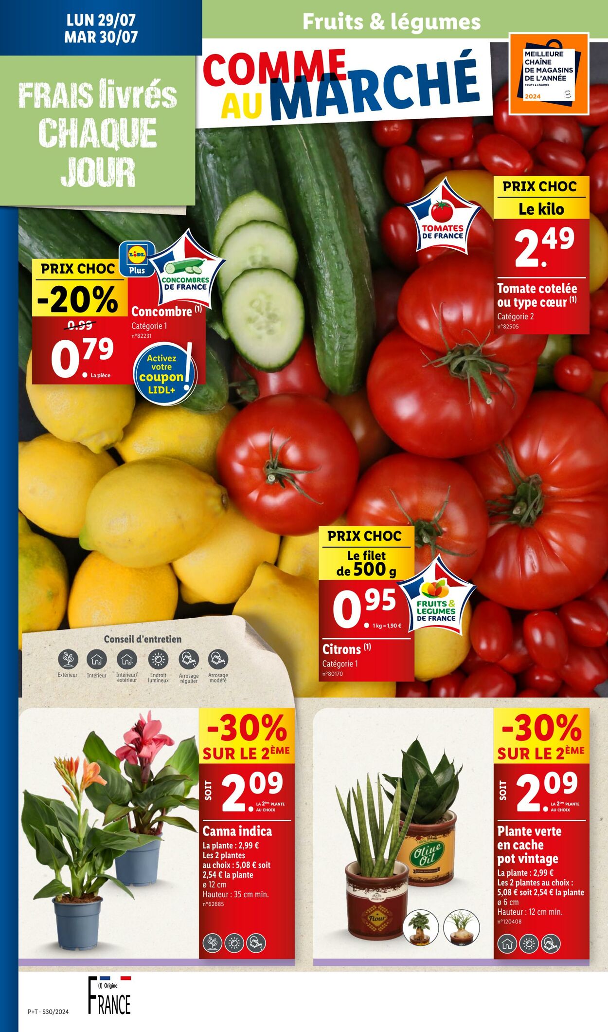 Catalogue Lidl 24.07.2024 - 31.07.2024