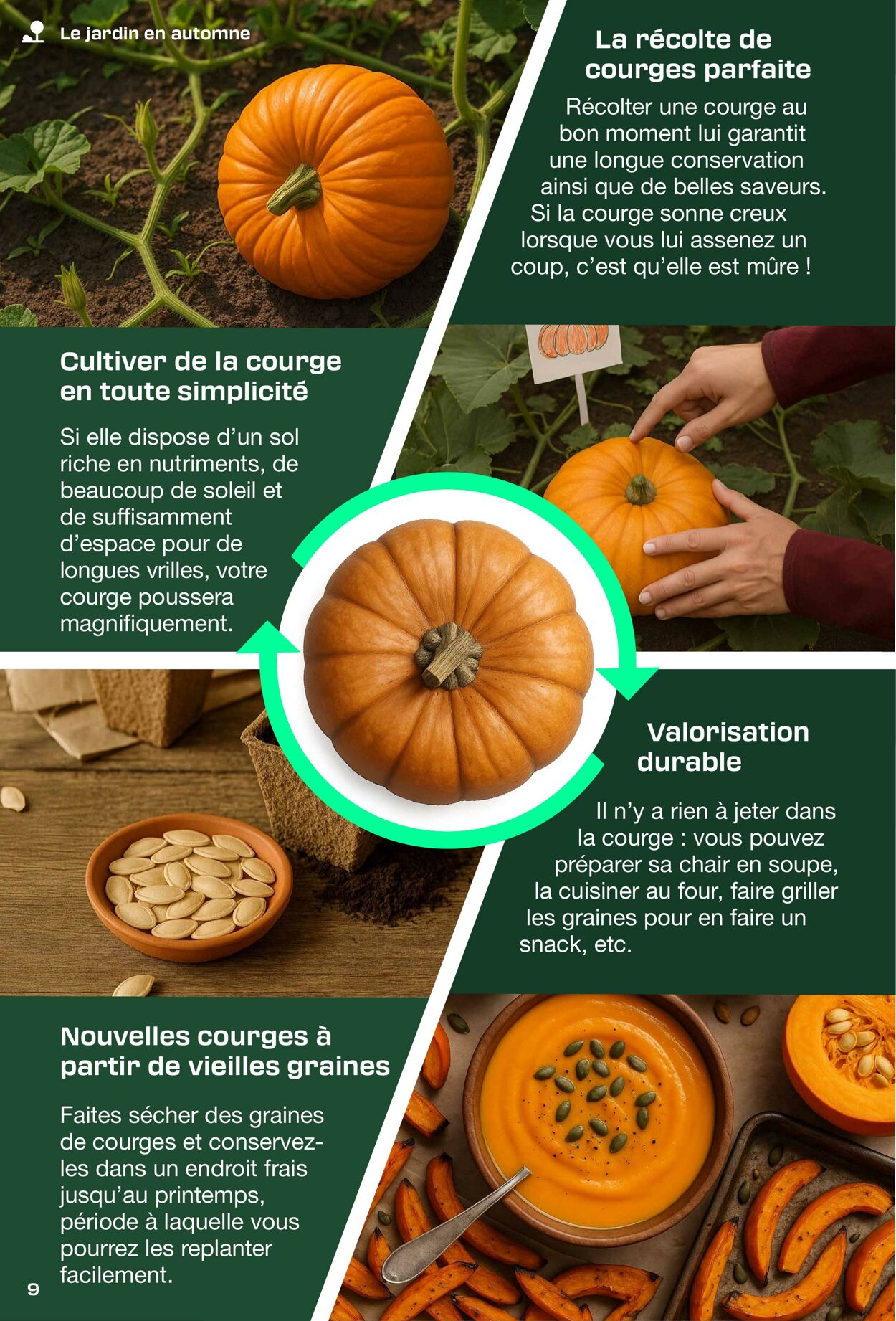 Catalogue Lidl 28.08.2025 - 04.09.2025