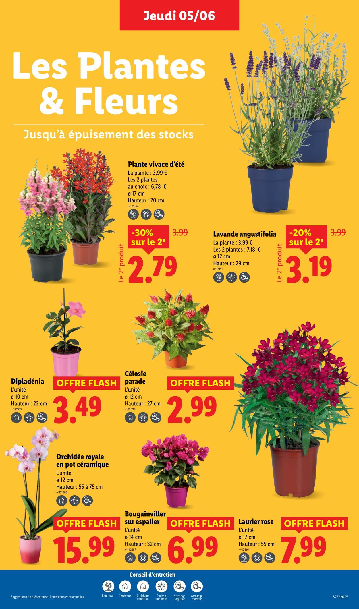 Catalogue Lidl 05.05.2025 - 11.06.2025
