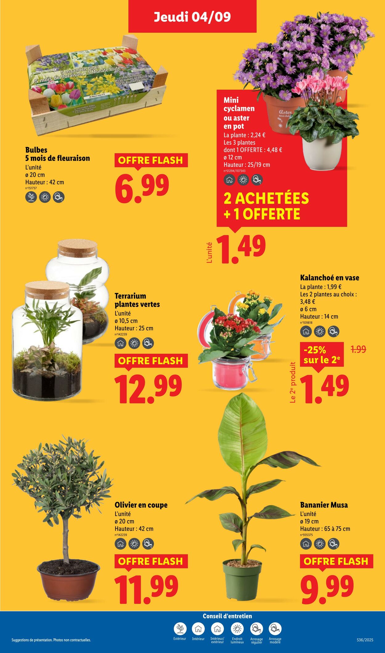 Catalogue Lidl 04.09.2025 - 10.09.2025