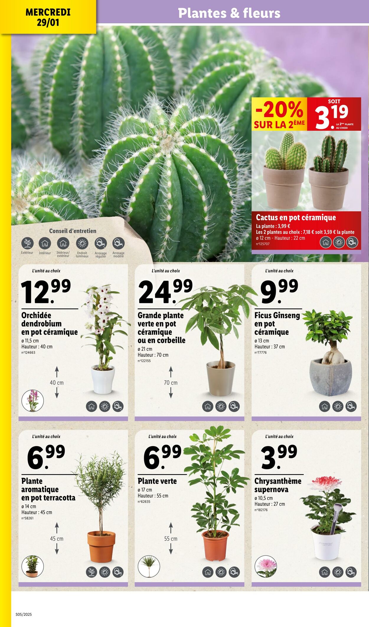 Catalogue Lidl 29.01.2025 - 05.02.2025