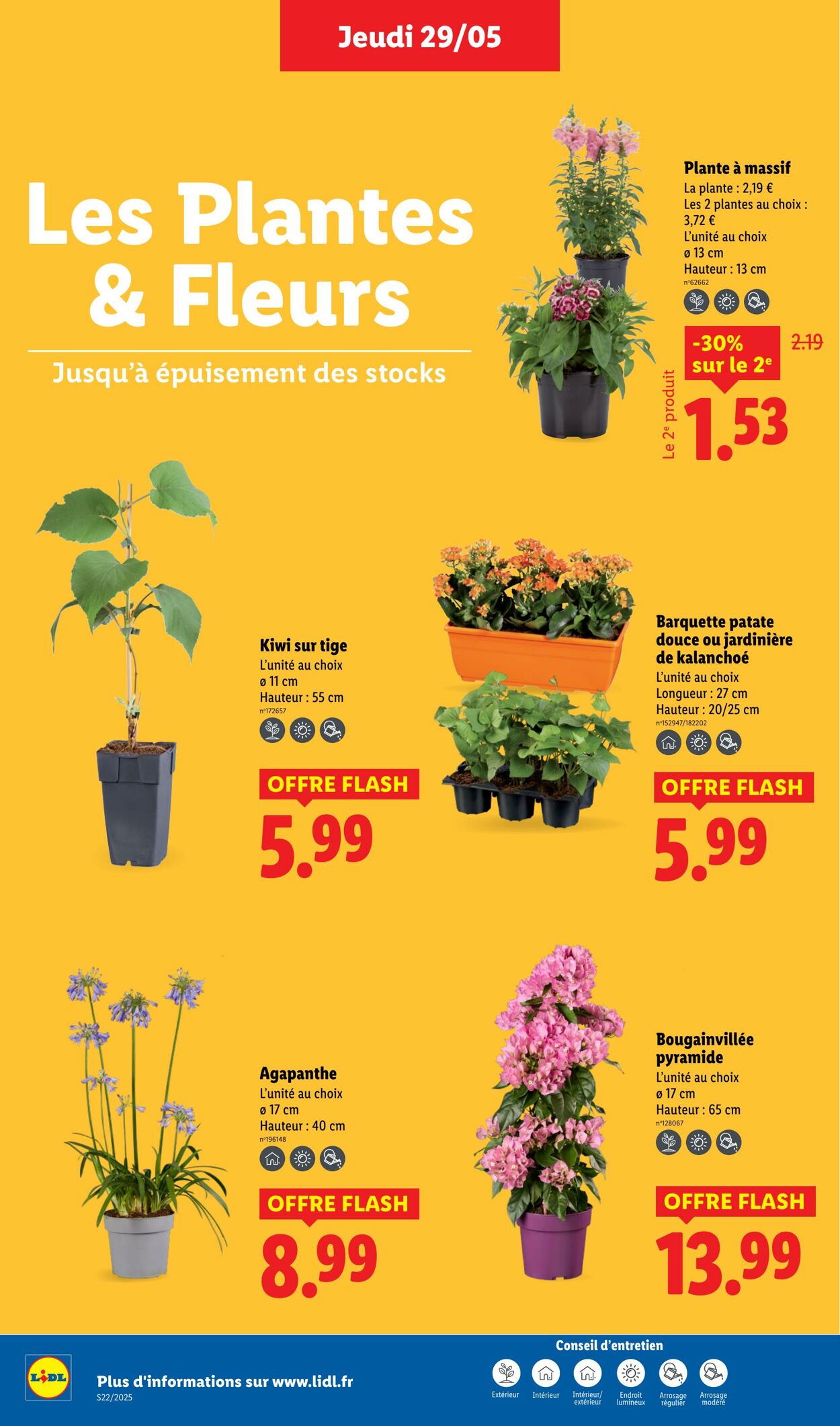 Catalogue Lidl 29.05.2025 - 04.06.2025