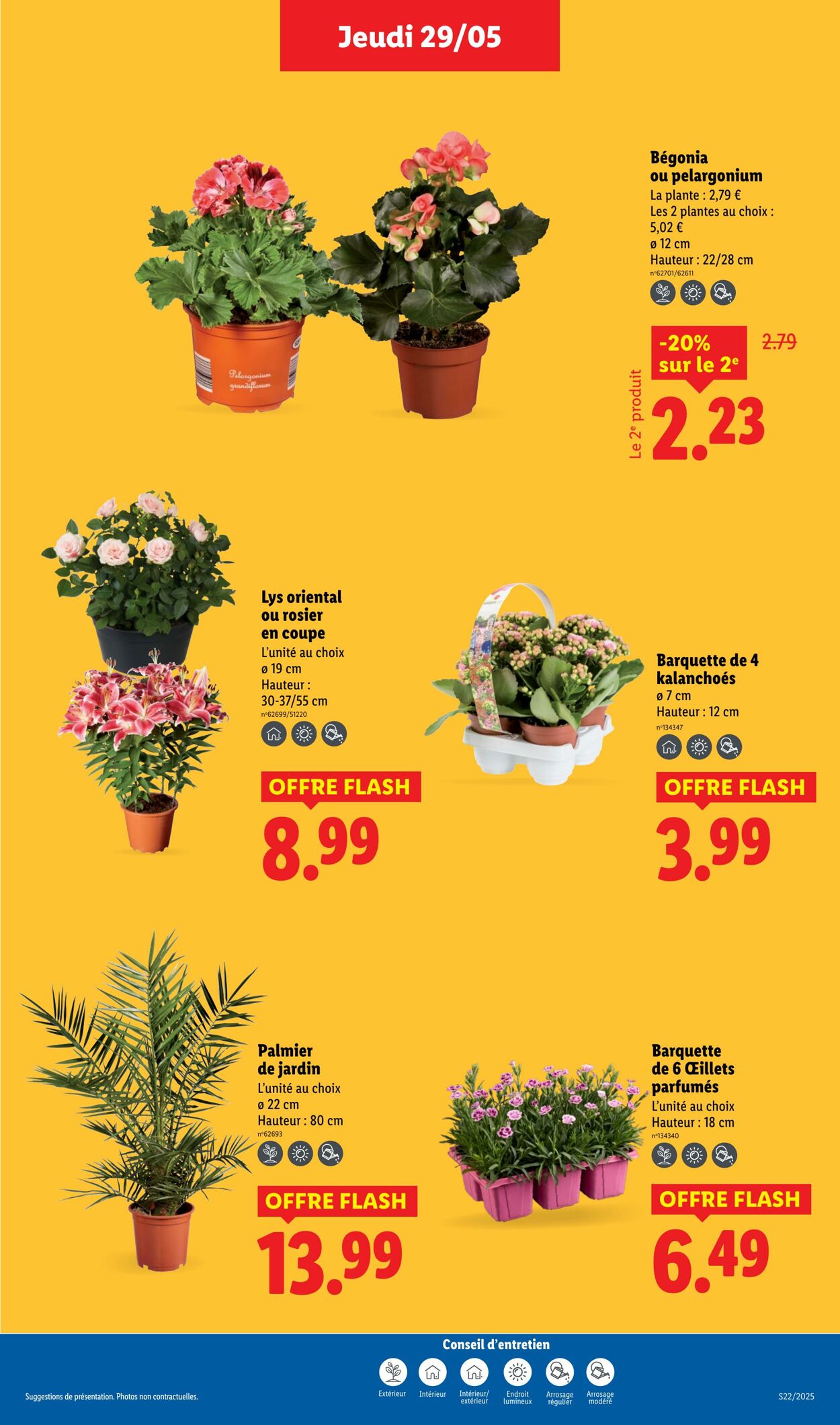 Catalogue Lidl 29.05.2025 - 04.06.2025