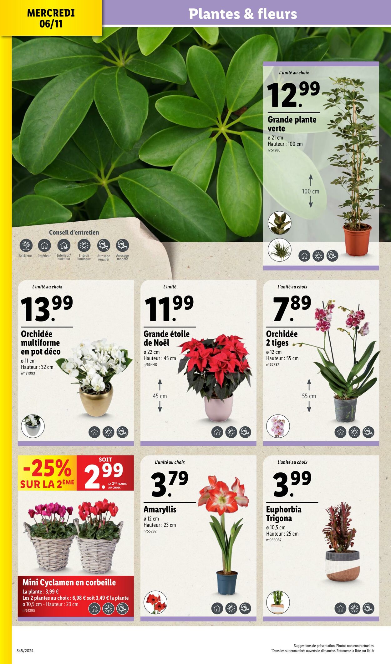 Catalogue Lidl 06.11.2024 - 12.11.2024