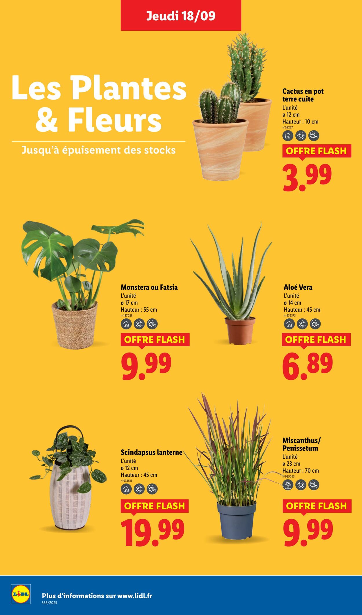 Catalogue Lidl 18.09.2025 - 24.09.2025