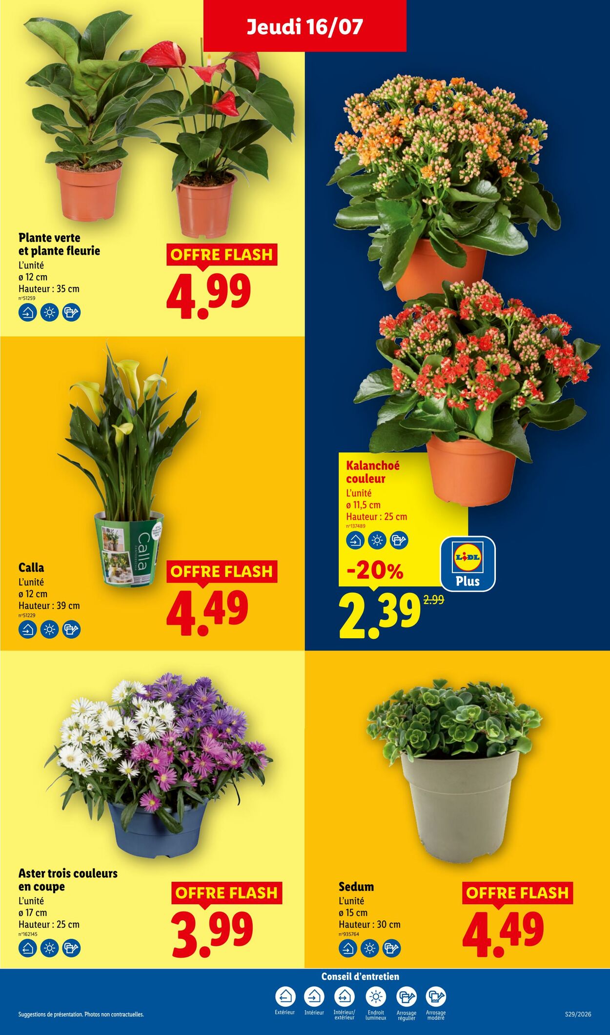 Catalogue Lidl 12.07.2026 - 22.07.2026